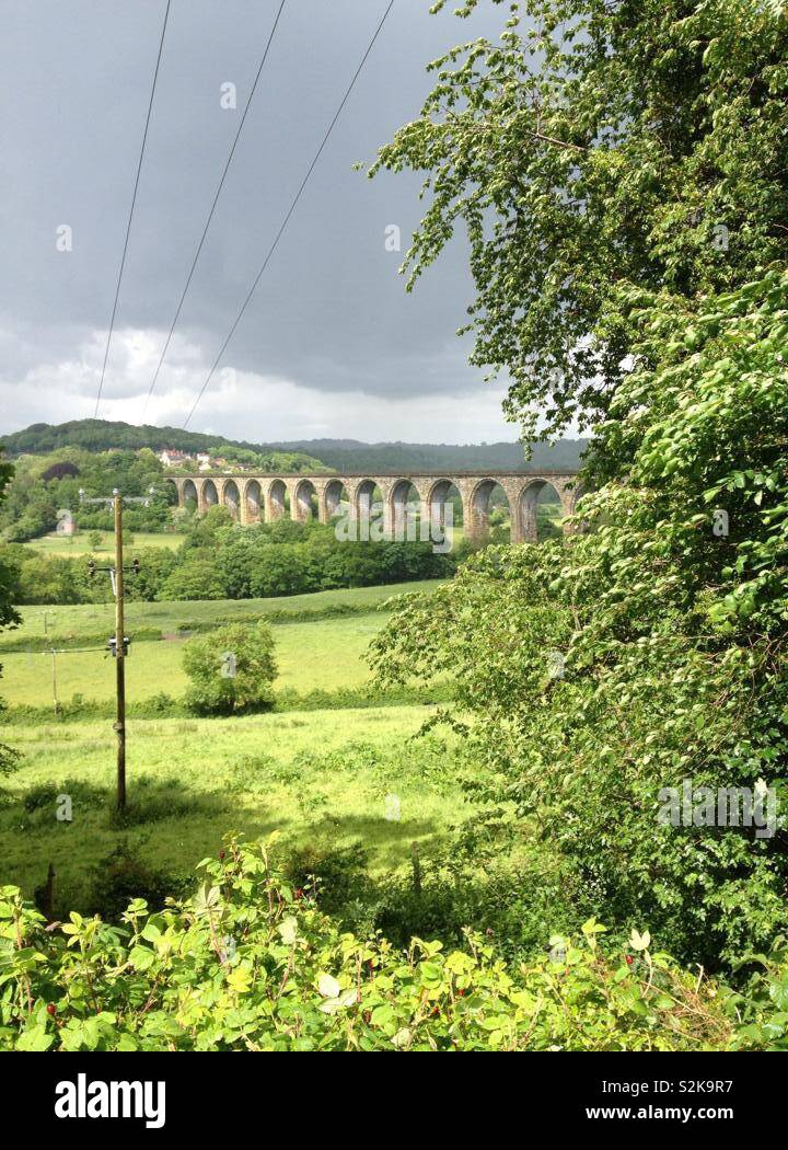 Viadotto ponte con archi a distanza attraverso i campi Foto Stock