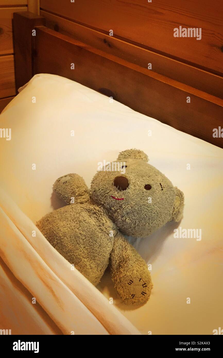 Orsacchiotto di peluche a letto addormentato veloce. Nascosto nel letto per una lunga confortevole accogliente sonno. Camera in hotel prenotazioni e pausa in città. Bed and breakfast internet online camere. Prezzi migliori Foto Stock