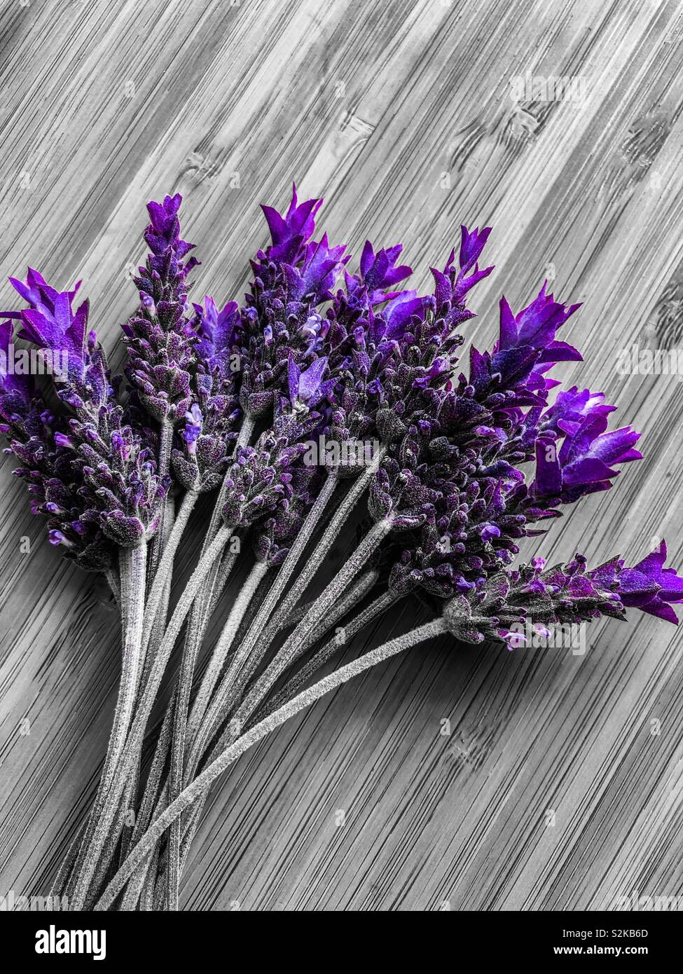 Lavanda fiori su legno, pop colore viola - Immagine stock catturata con smartphone