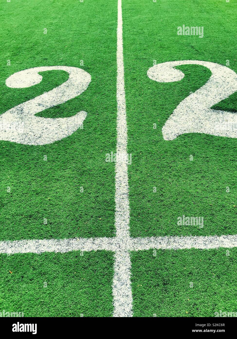 22 m touch line su una superficie artificiale rugby pitch, STATI UNITI D'AMERICA Foto Stock