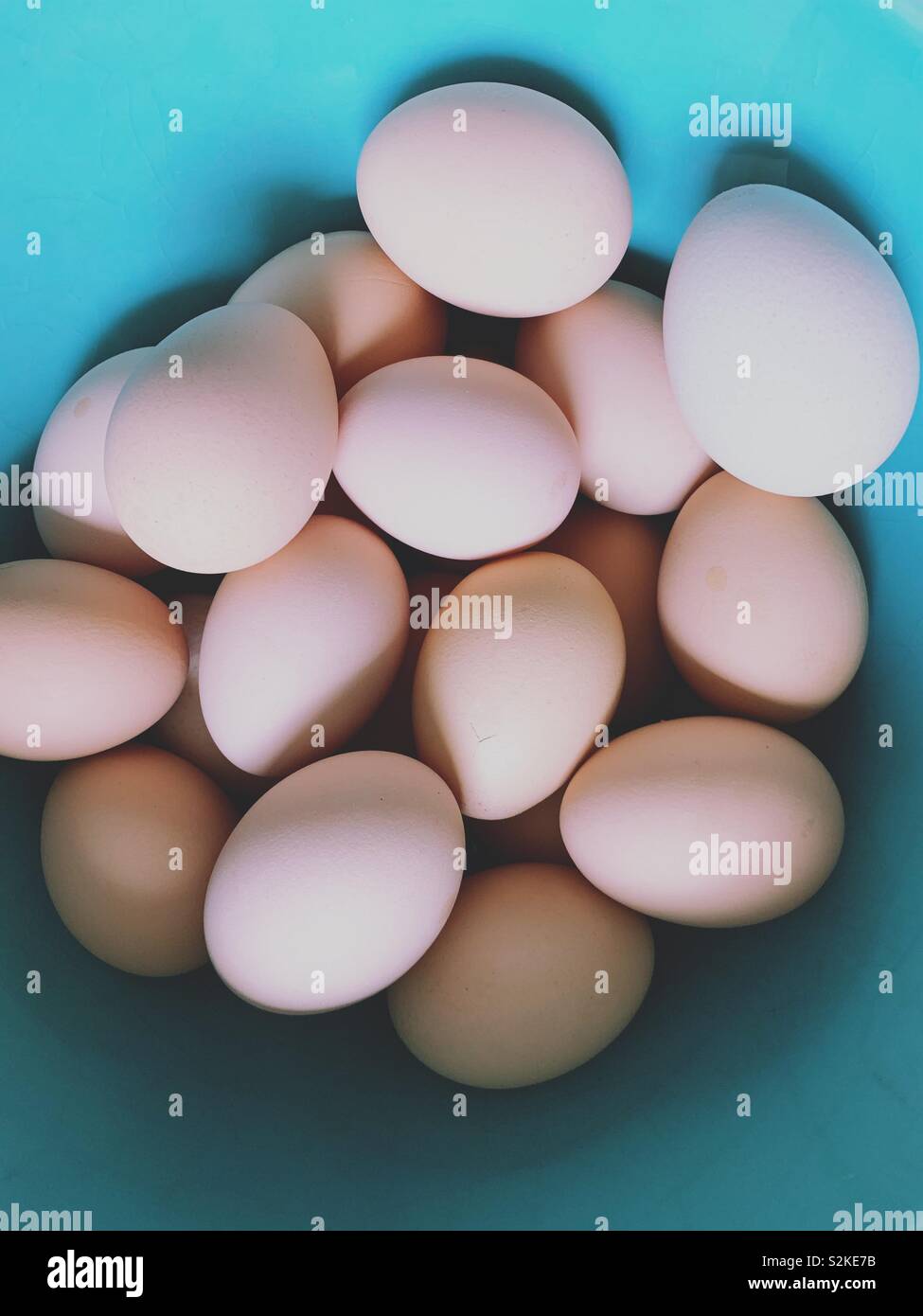 Azienda Agricola Le uova fresche in una ciotola blu Foto Stock