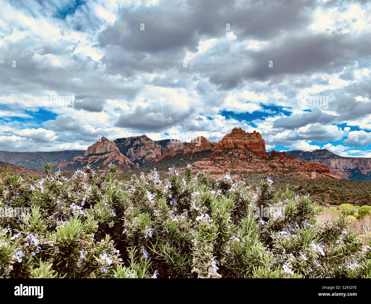 A Sedona in Arizona, paesaggio che mostra il famoso red formazioni rocciose sotto un cielo blu. Foto Stock