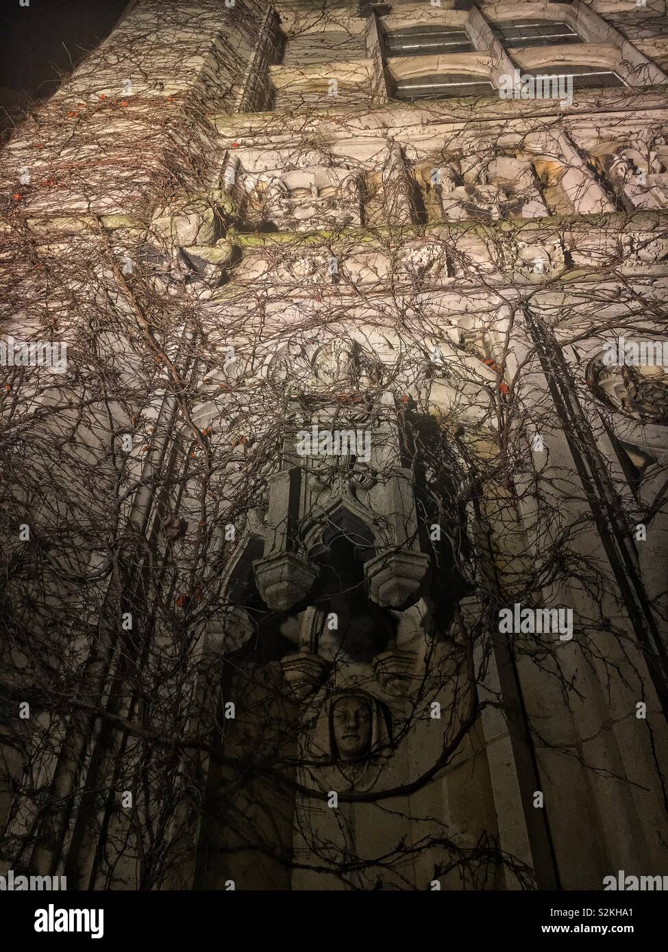 La bellissima gotica esterno pietra intagliata dell'Università di Chicago il famoso student union building- Il Club di Reynolds. - Immagine stock catturata con smartphone
