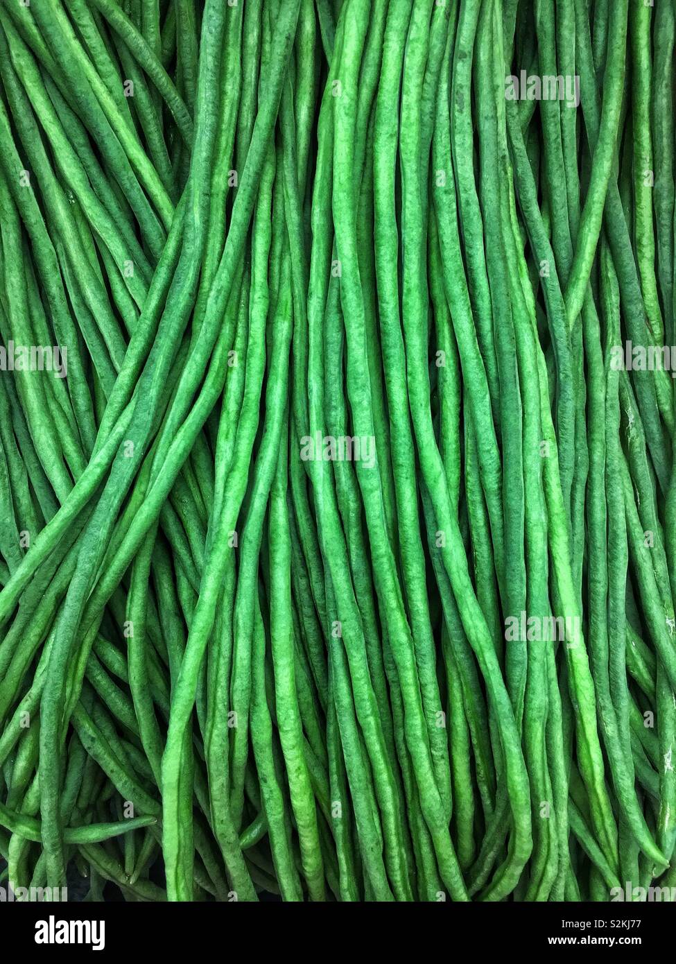 Deliziosi piatti freschi maturi materie Yardlong Fave a lungo podded cowpea, Chinese Long bean, bodi/bora, snake bean, asparagi, bean o bean pisello, fagiolo lungo sul display e in vendita presso la locale produzione di mercato. Foto Stock