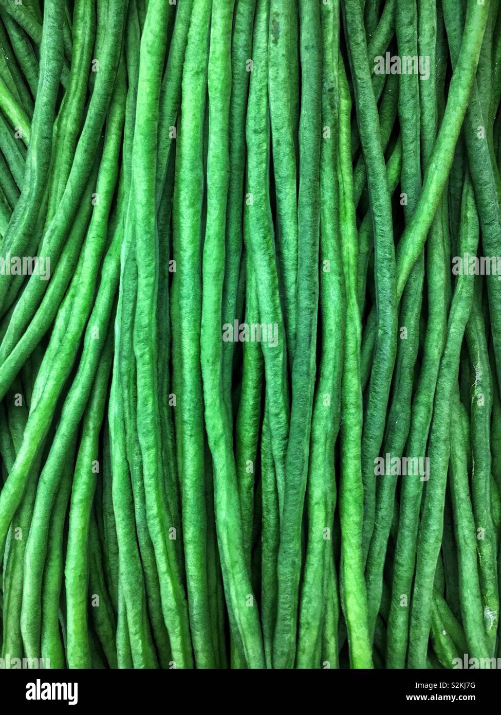 Telaio completo di fresco lungo deliziosi fagioli, Vigna unguiculata, Yardlong Fave a lungo podded cowpea, Chinese Long bean, bodi/bora, snake bean o bean pisello sul display e per la vendita al mercato locale. Foto Stock