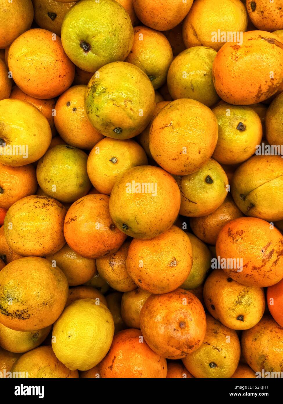 Telaio completo di deliziosi piatti freschi maturi materie Florida succo di arance sul display e in vendita presso la locale produzione di mercato. Foto Stock