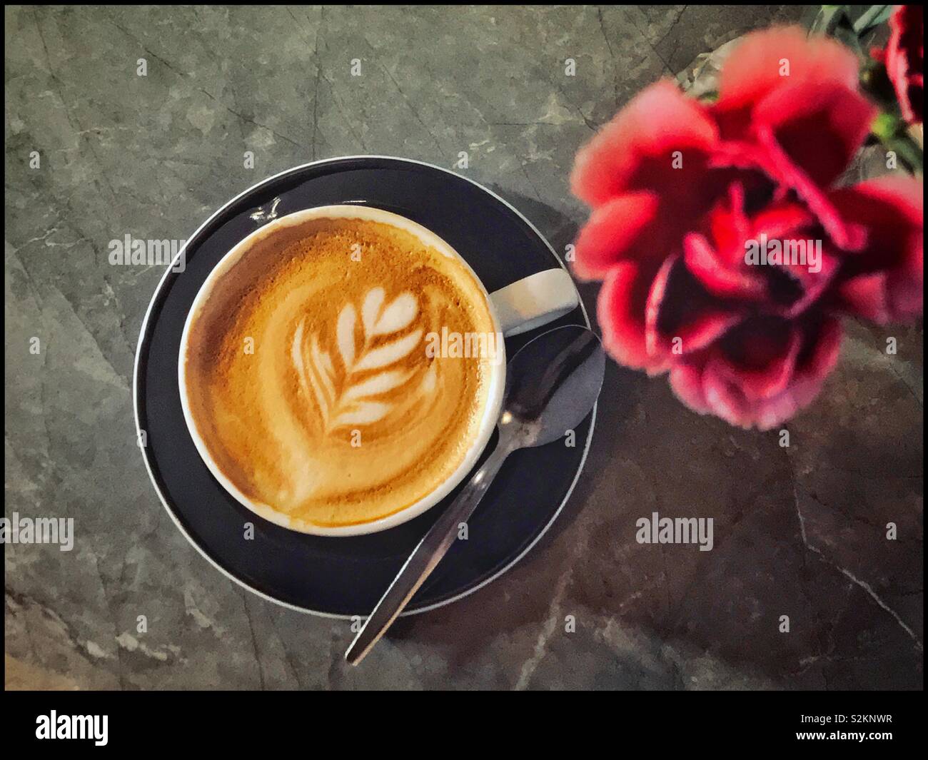 Un overhead, still life immagine di una sola tazza di caffè cappuccino ristoro. In alto a destra di immagine è un fuori fuoco rosa rossa. Questa è una copia dello spazio dovrebbe ne avete bisogno! Credito foto - © COLIN HOSKINS. Foto Stock