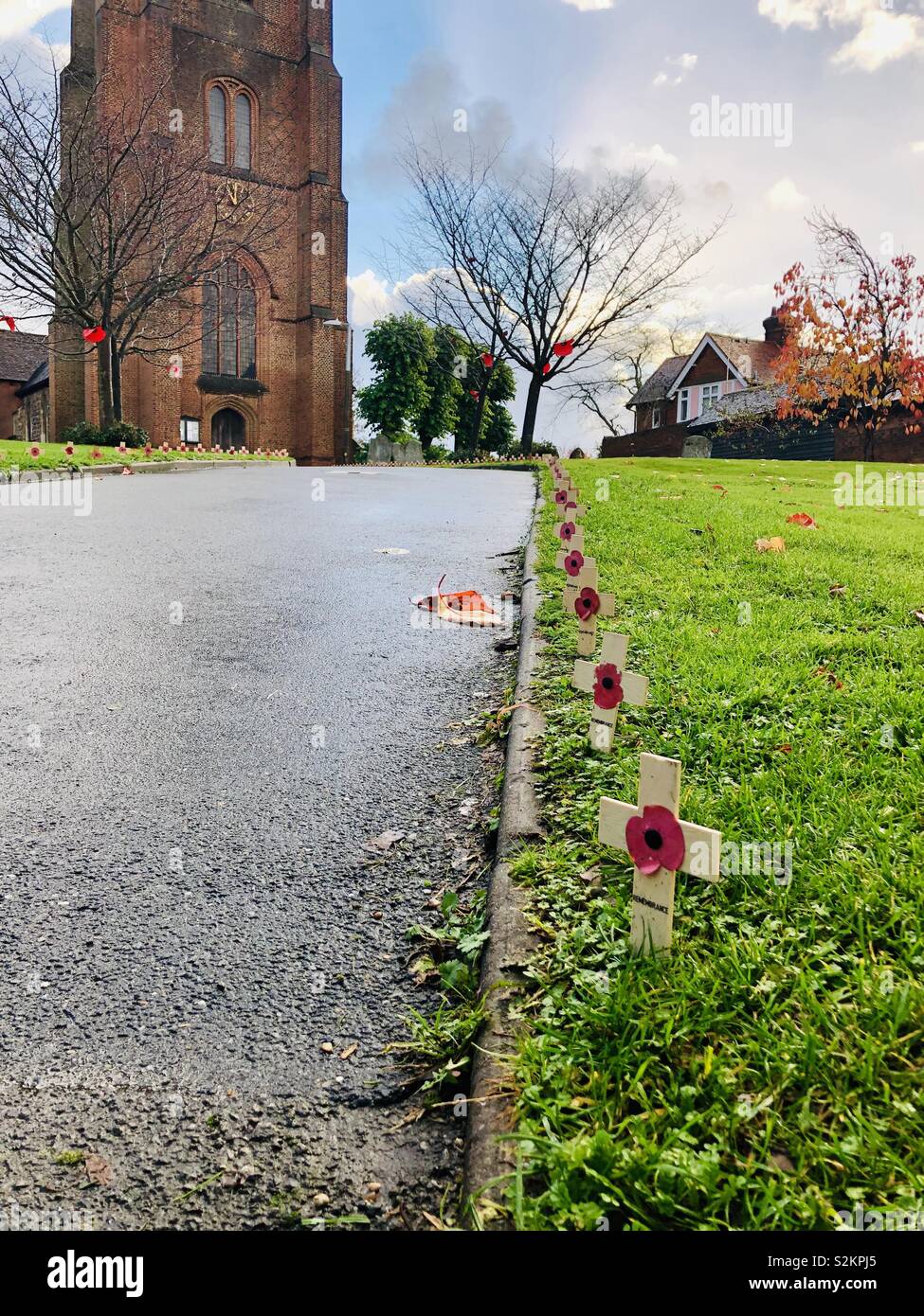 Il papavero Avenue Foto Stock