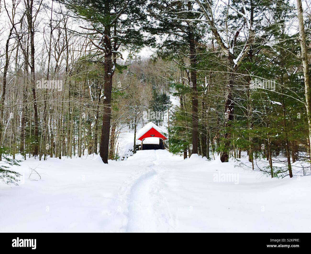 Rosso ponte coperto in una coperta di neve forest Foto Stock