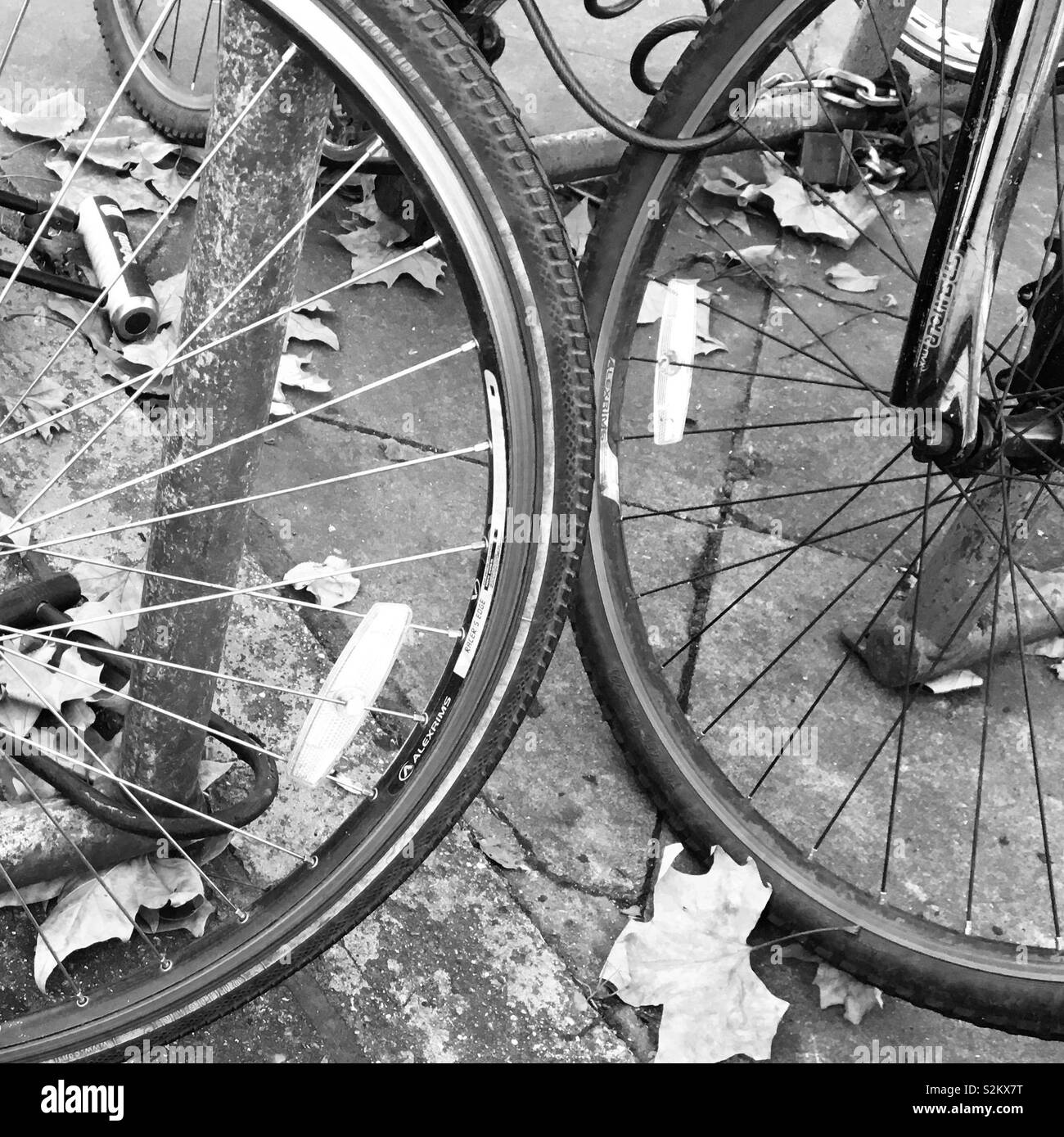 Escursioni in bicicletta giovane Foto Stock