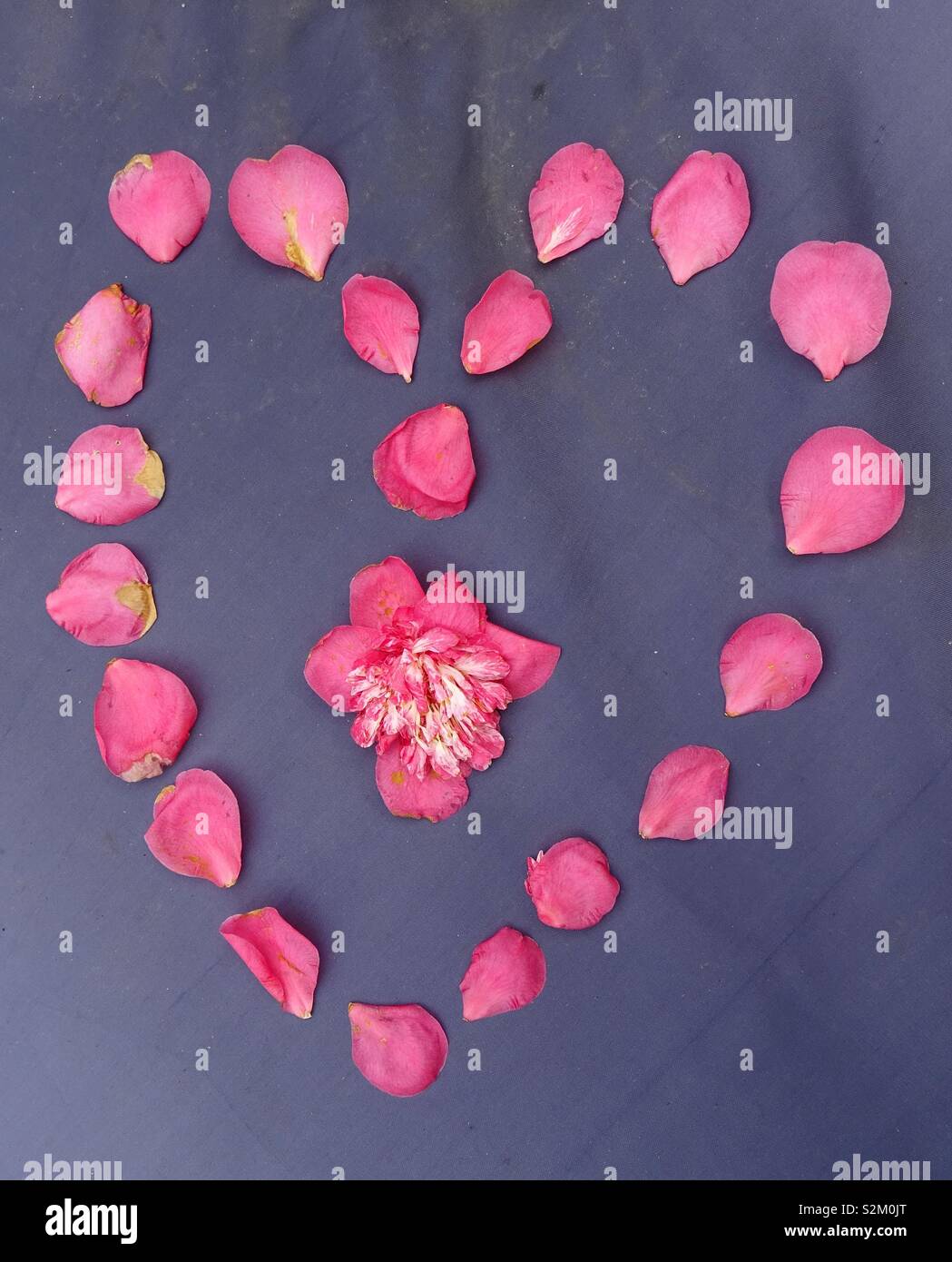A forma di cuore petali di fiori Foto Stock