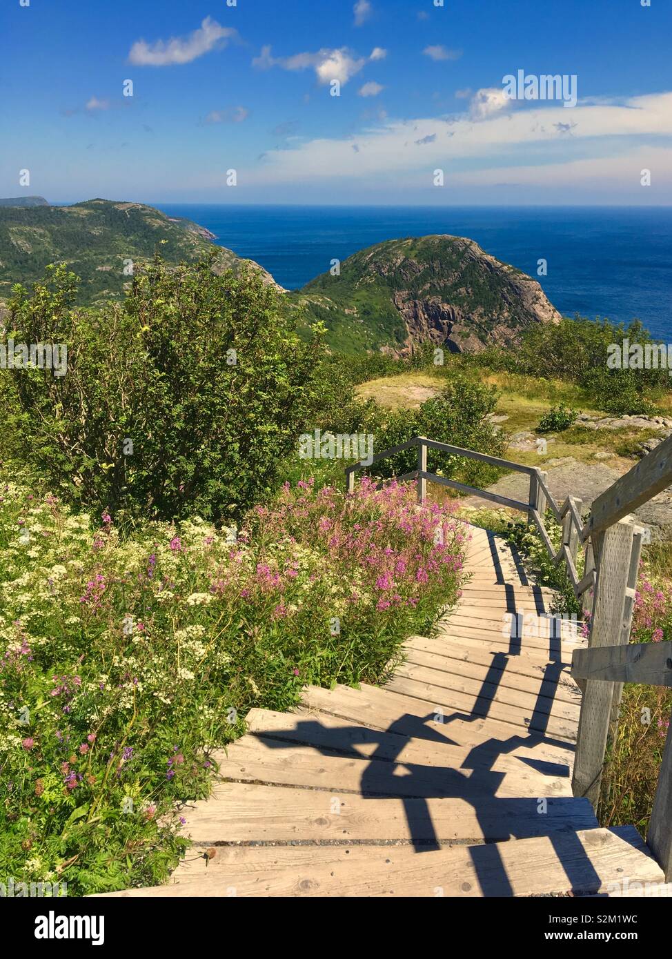 Sentiero escursionistico al punto di batteria in San Giovanni di Terranova in Canada Foto Stock