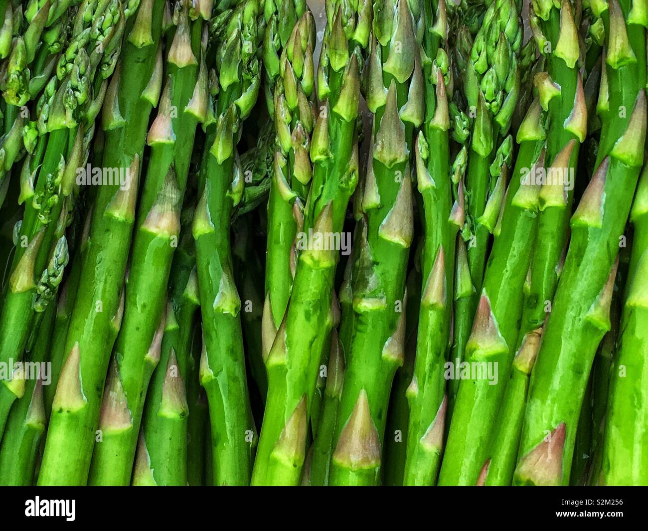 Fattoria fresco delizioso asparago verde grigliare sulla griglia. Foto Stock