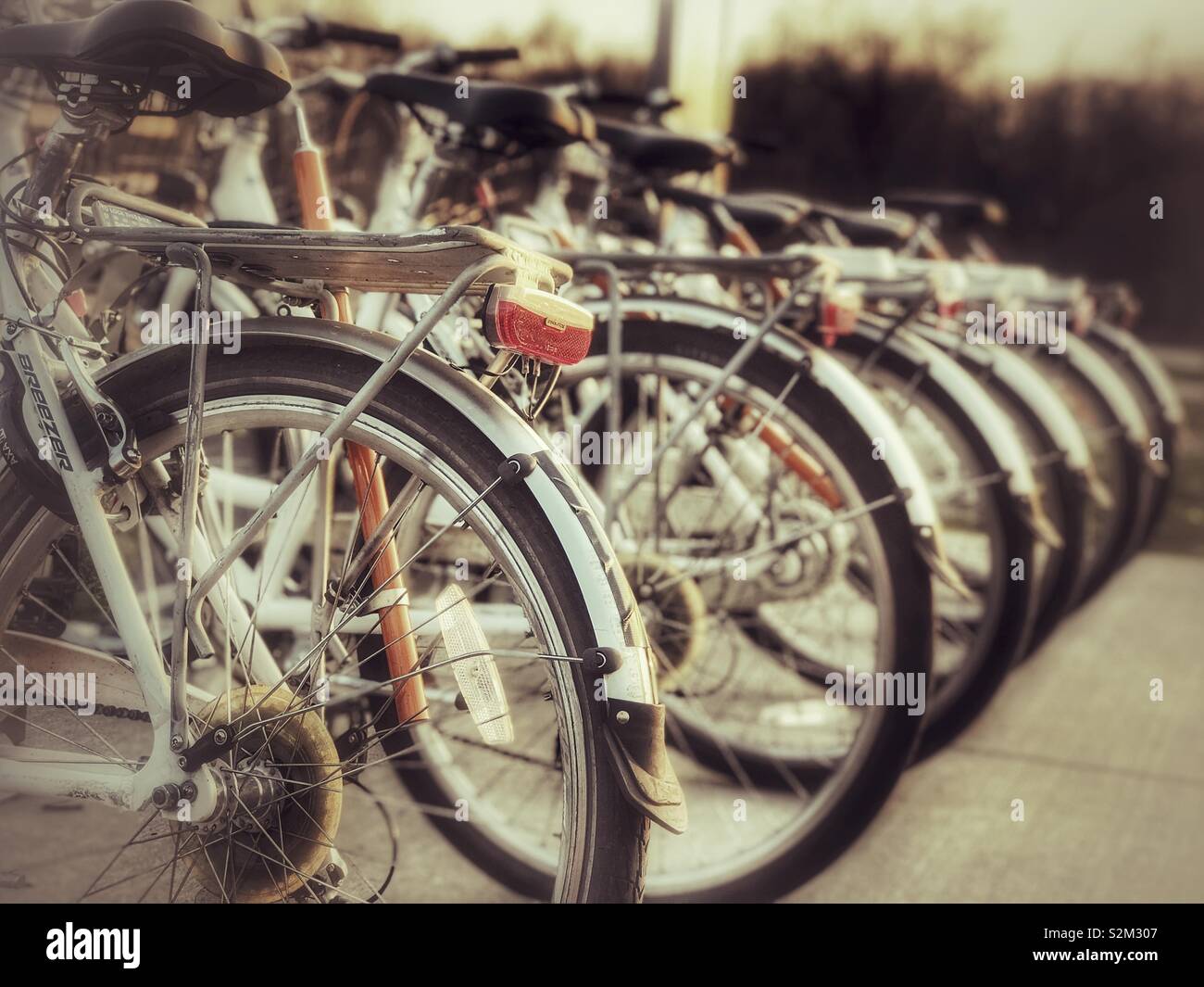 Noleggio di biciclette schierate al parco locale - Immagine stock catturata con smartphone