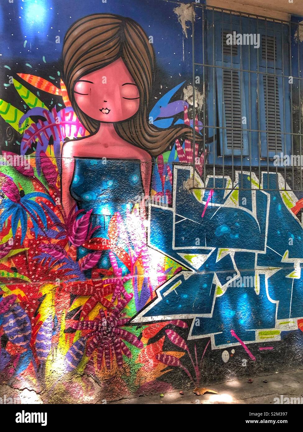 Urbano colorata arte di strada a Rio de Janeiro in Brasile. Foto Stock