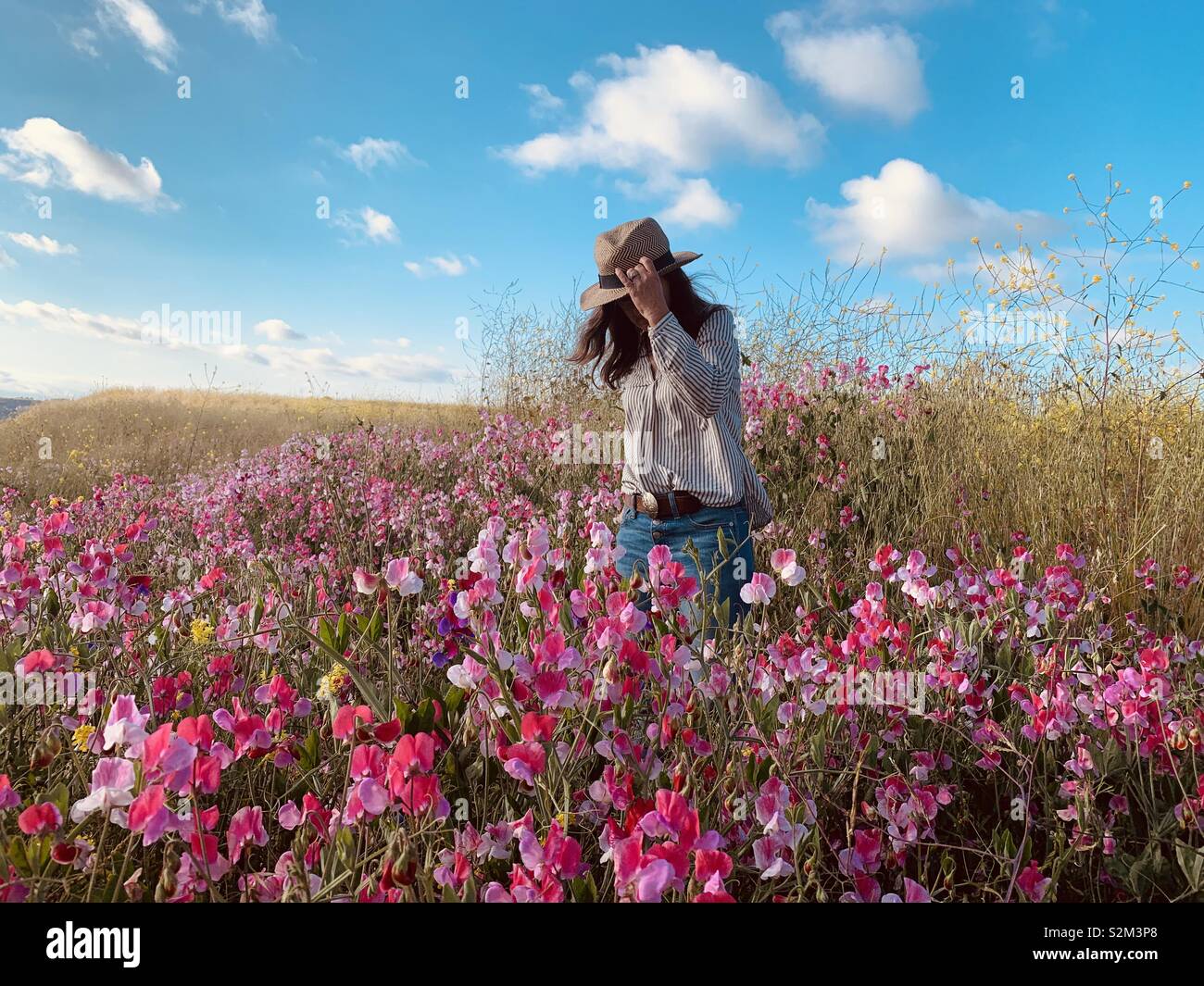 Una donna che indossa un cappello e jeans passeggiate attraverso un campo di rosa di fiori selvatici nel sud della California in un pomeriggio soleggiato. Il suo viso è offuscato dal cappello. Foto Stock