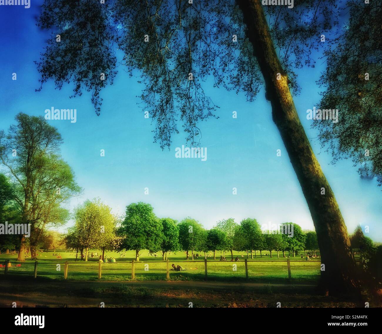 Un bel pomeriggio di sole su Peckham Rye comune. Foto Stock