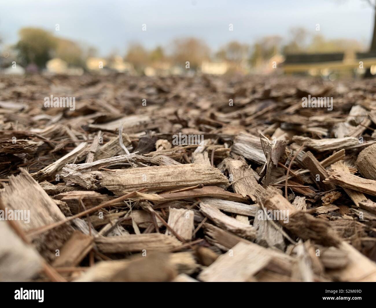 La polvere di legno Foto Stock