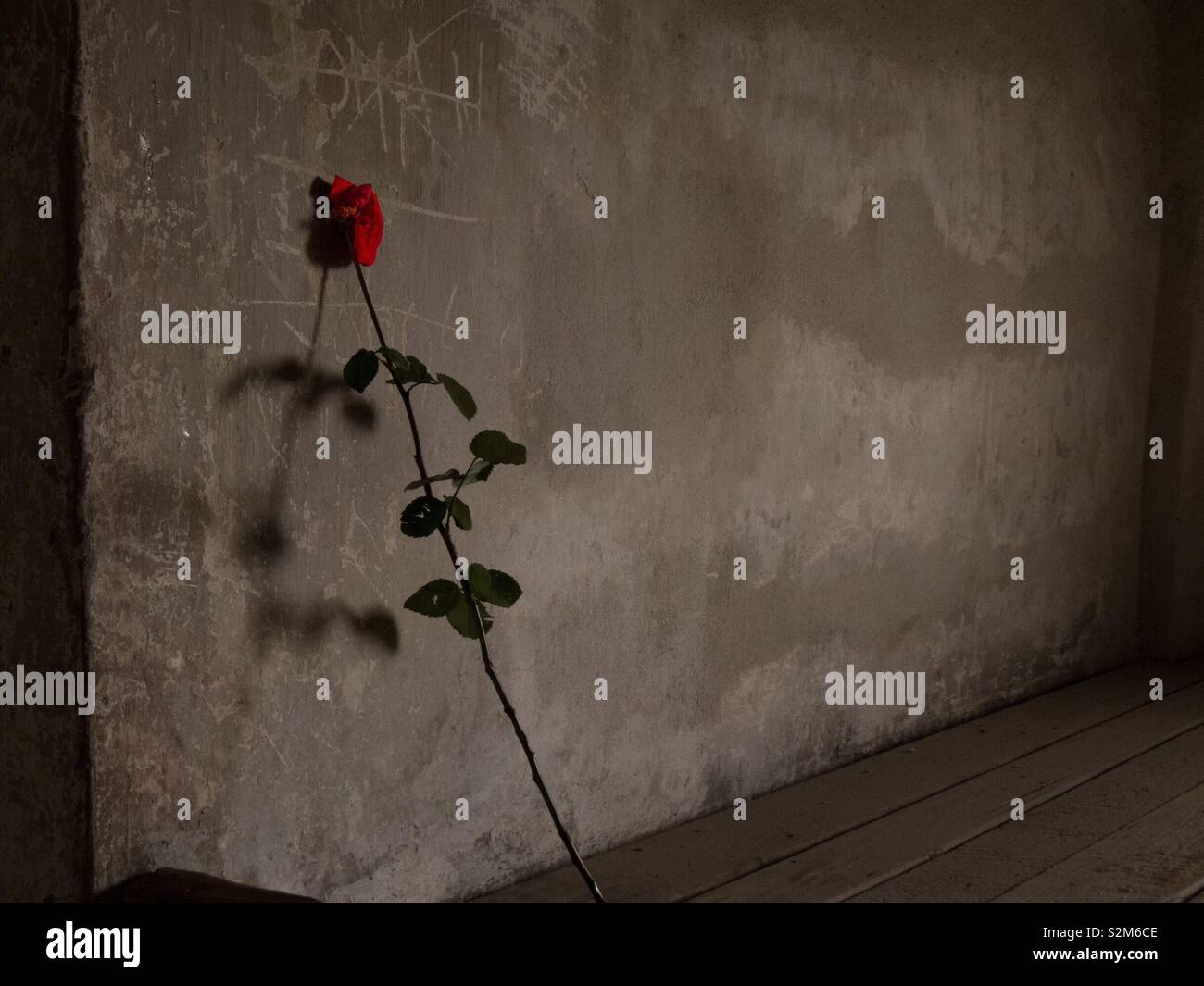Un unico ricordo è salito in camera di pelo al campo di concentramento di Auschwitz Foto Stock