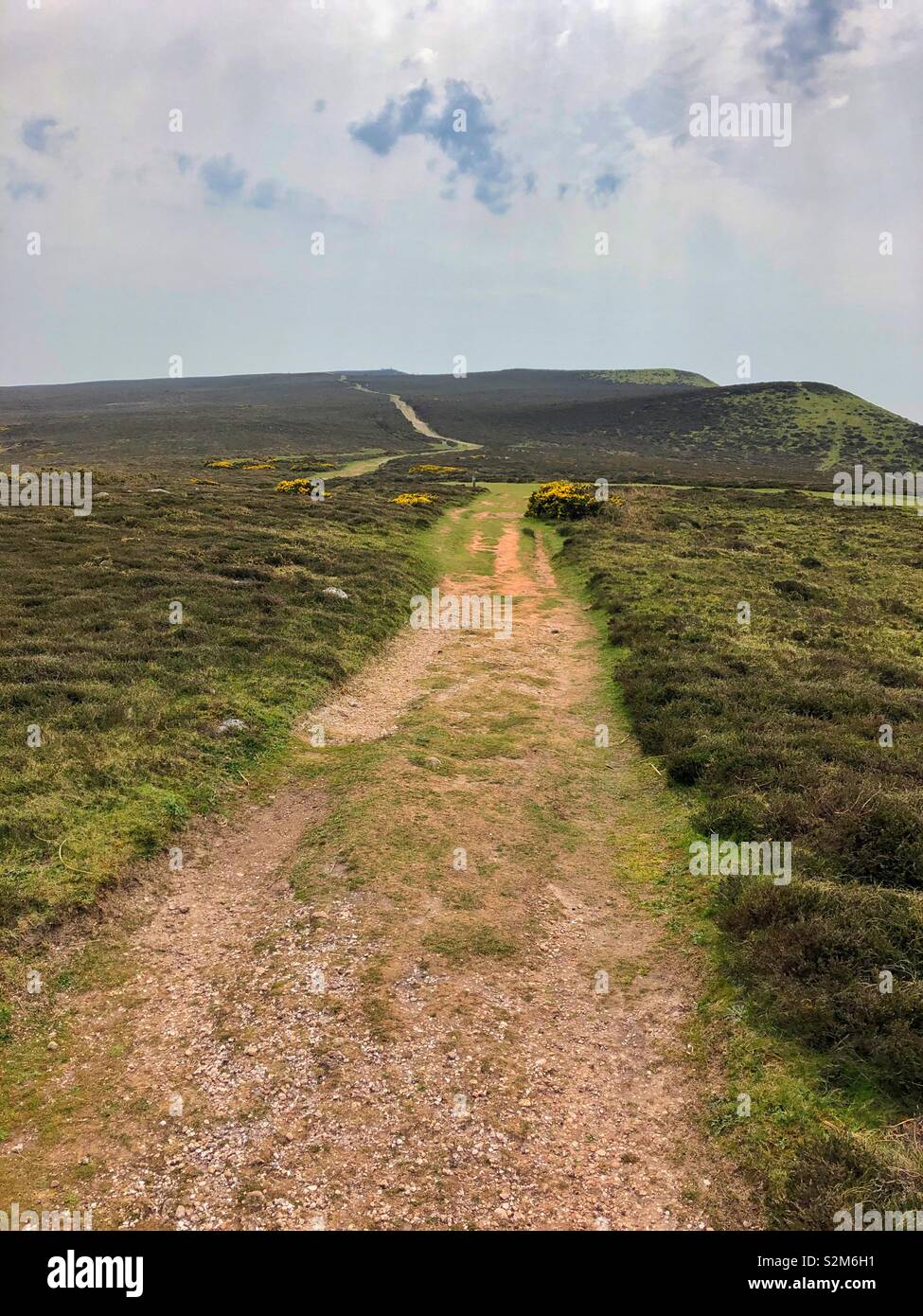 Lungo il percorso di avvolgimento attraverso Rhossili Downs, Gower, Swansea, Galles. Foto Stock