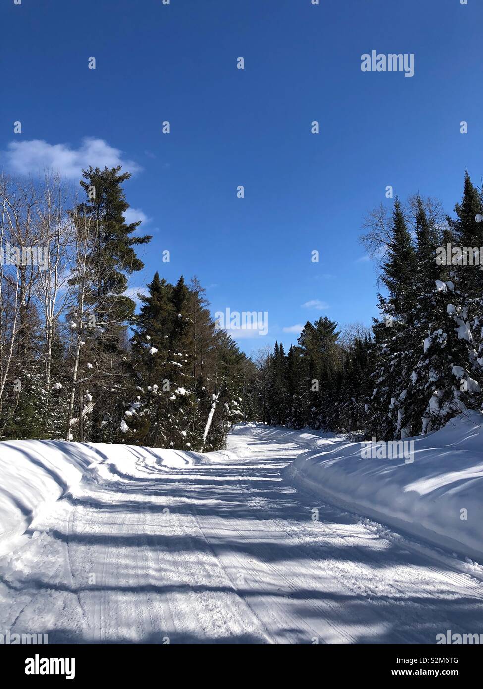 Coperta di neve strada in Wisconsin settentrionale - Immagine stock catturata con smartphone