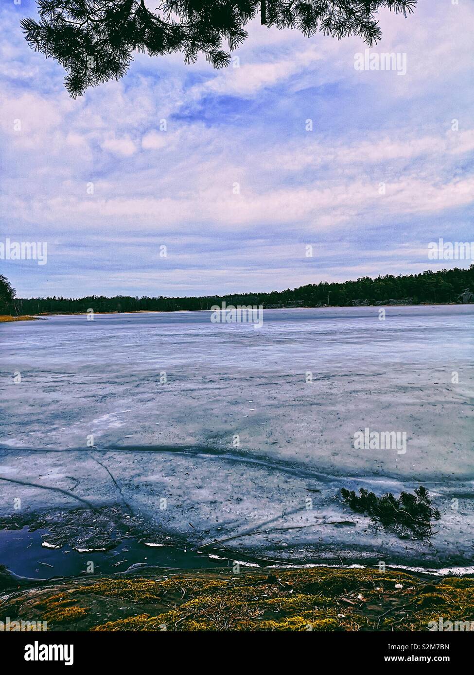 La superficie del lago ghiacciato, Bjorno Riserva Naturale, arcipelago di Stoccolma, Svezia e Scandinavia Foto Stock