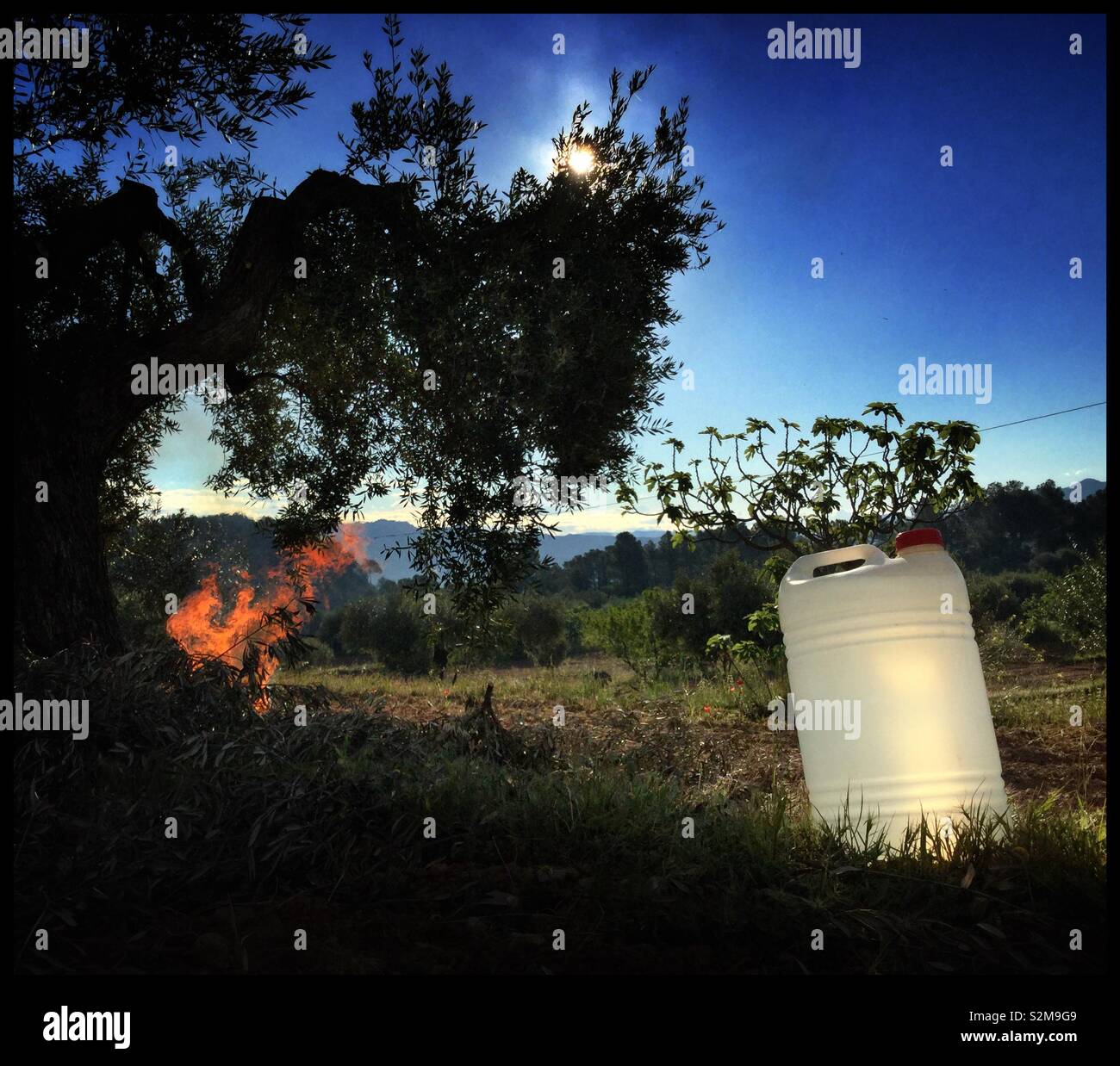 Wildfire precauzione pur avendo un falò in un oliveto, Catalogna, Spagna. Foto Stock