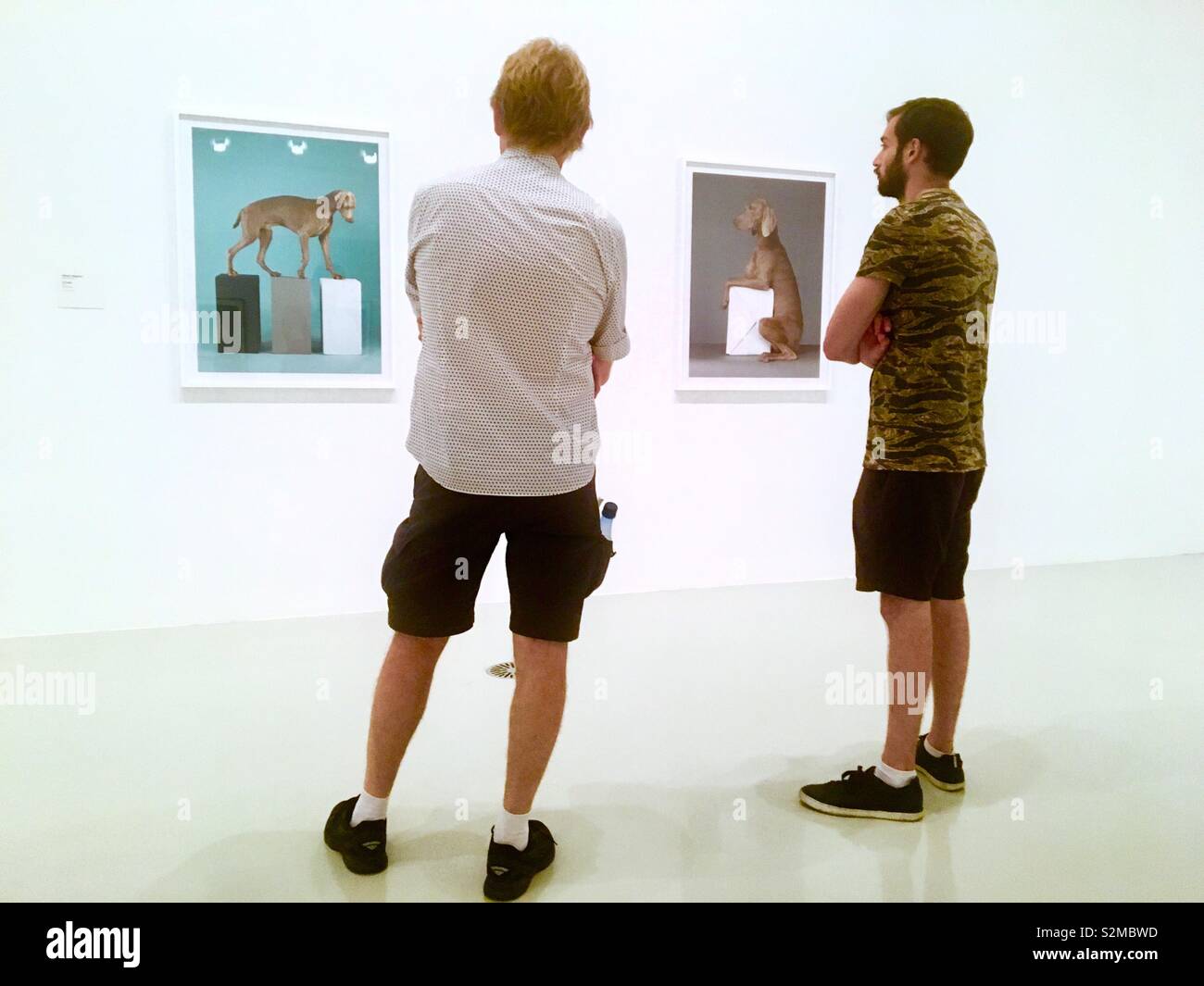 Ragazzi guardando William Wegman's cane ritratti nella galleria d'arte - Immagine stock catturata con smartphone