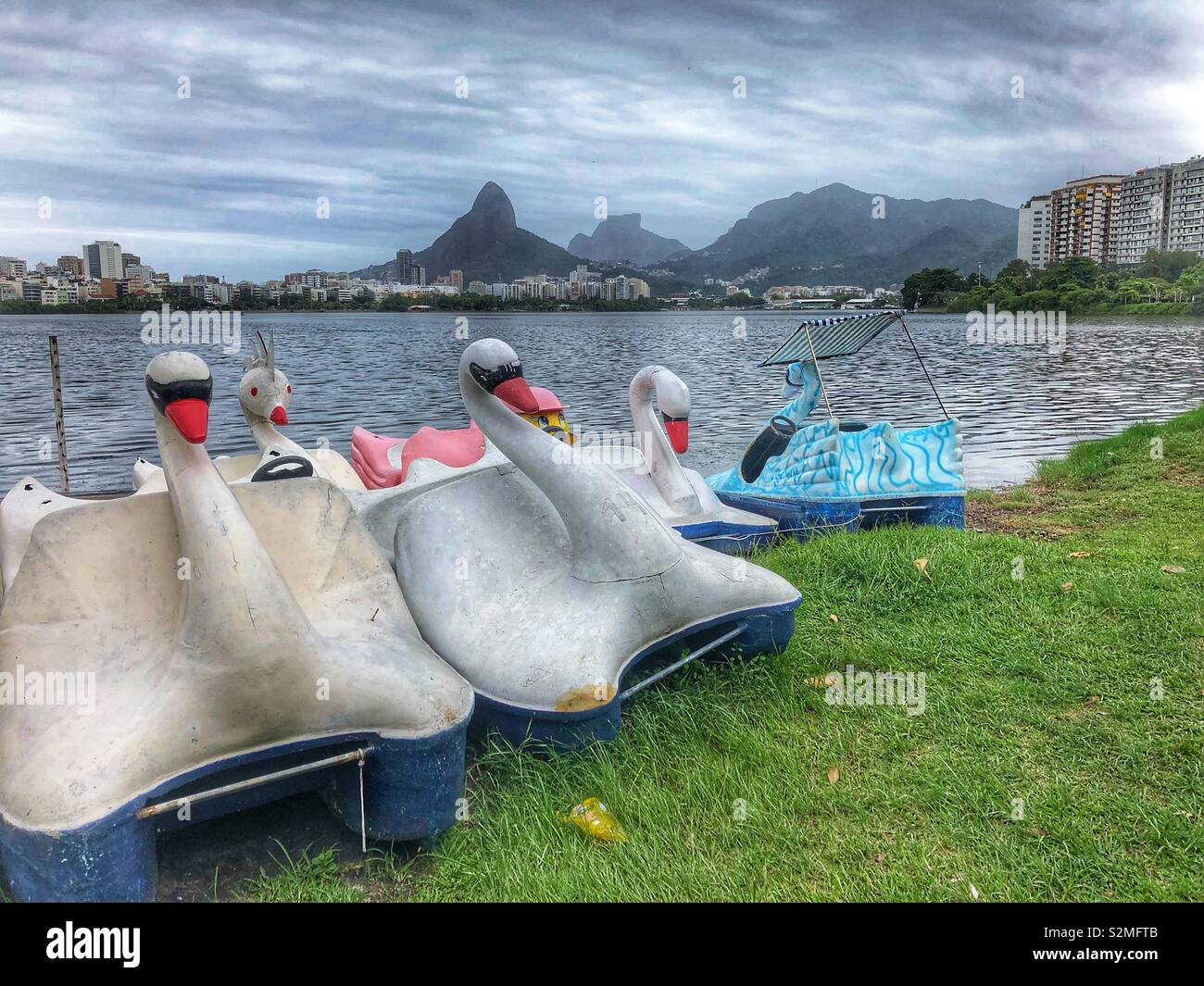 Swan barche sul bordo dell'acqua di Rodrigo Freitas lagoon a Rio de Janeiro in Brasile. - Immagine stock catturata con smartphone
