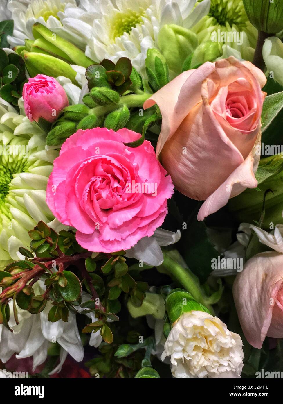 Full frame di un fiore di primavera bouquet di fresco perfetto per i garofani e le rose. Foto Stock