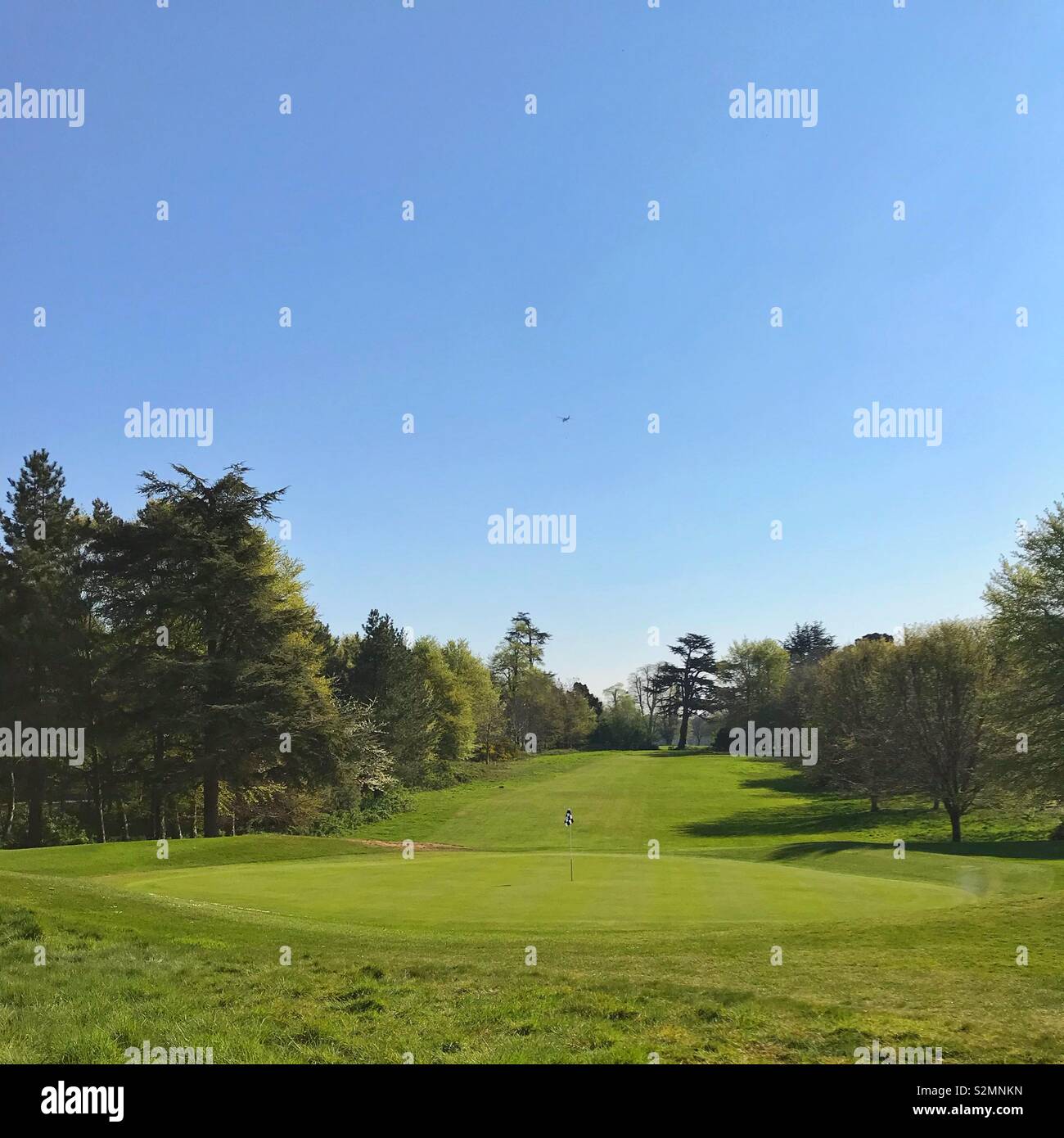 Golf a Goodwood Foto Stock