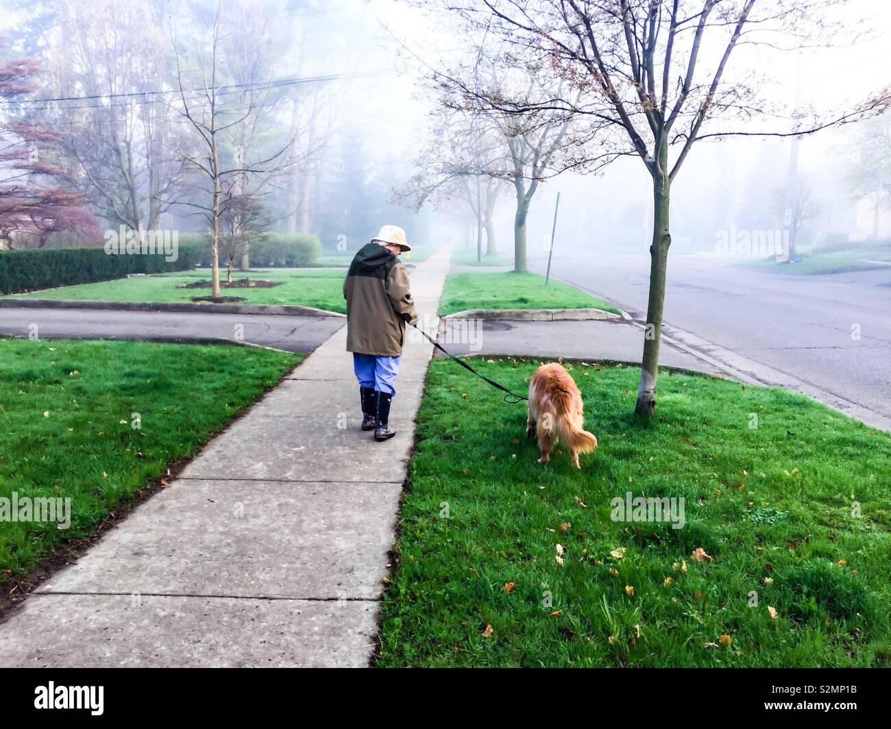 La donna e il cane in una mattinata nebbiosa Foto Stock