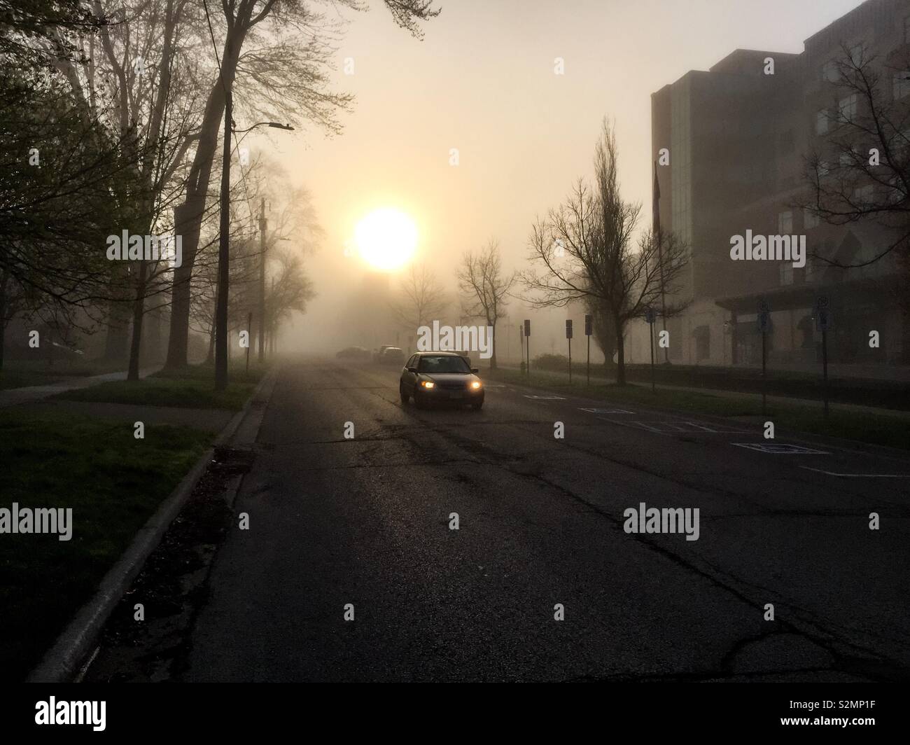 La nebbia, auto, strada di città Foto Stock