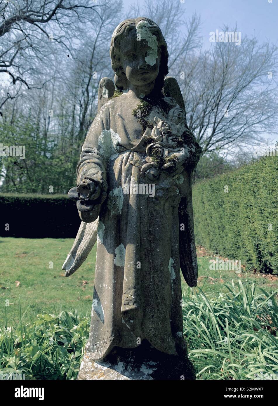 Angelo antica statua in un cimitero Foto Stock