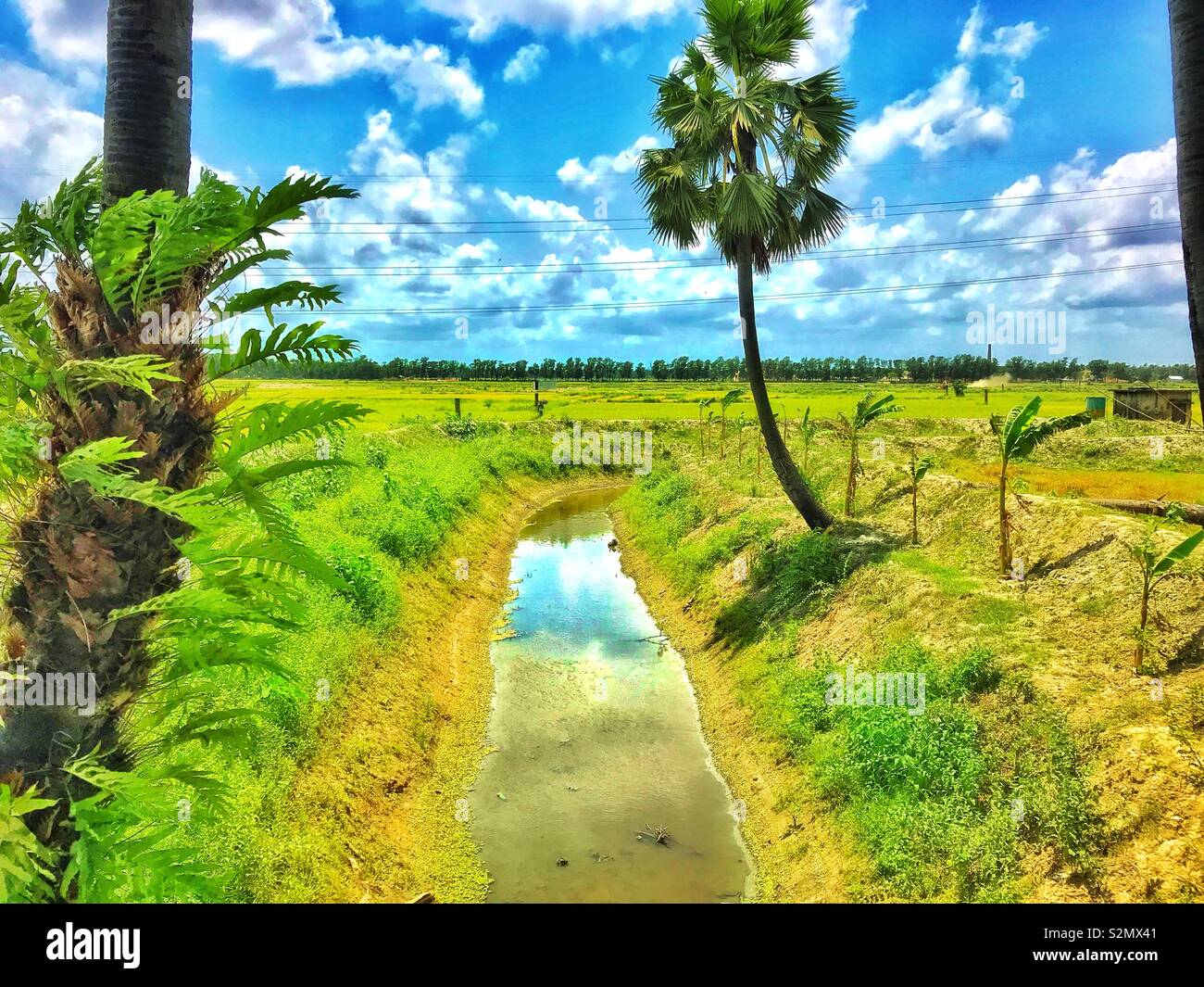 La bellezza naturale del Bangladesh Foto Stock