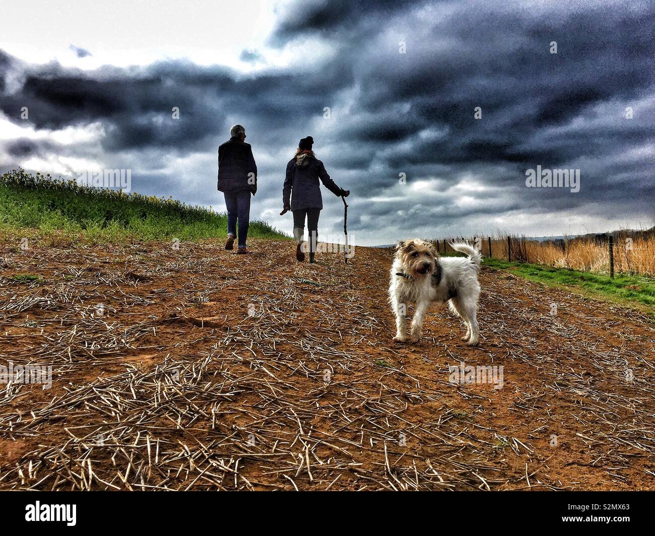 L uomo e la donna a piedi un cane in campagna Foto Stock