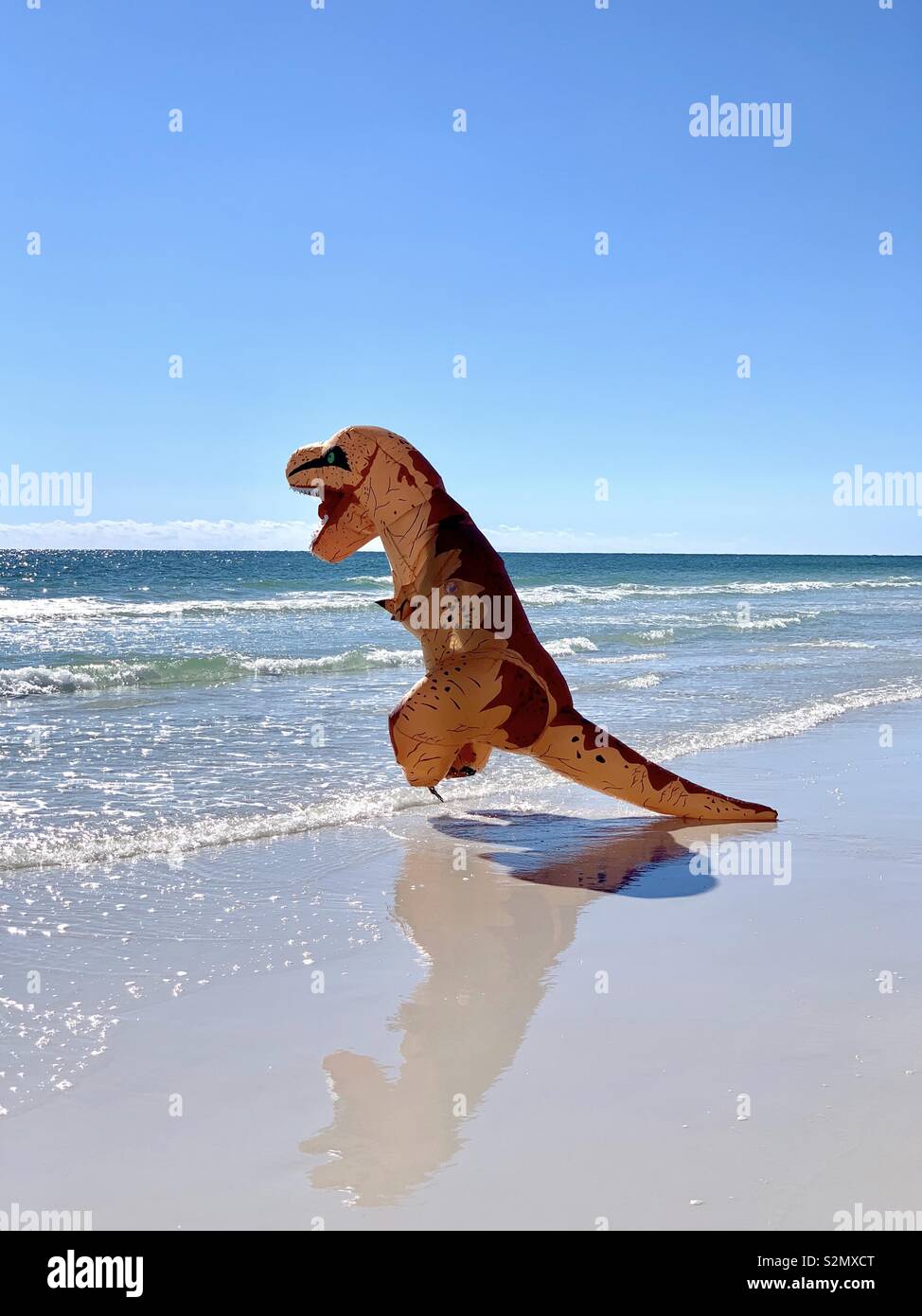 Non si sa mai che cosa vedrete sulla spiaggia...un dinosauro - Immagine stock catturata con smartphone