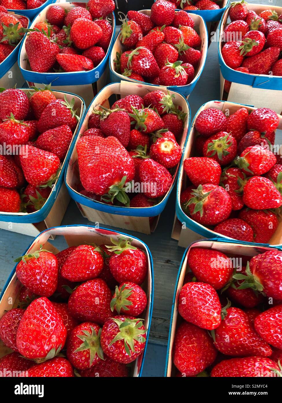 Francese fresco Fragole rosso Foto Stock