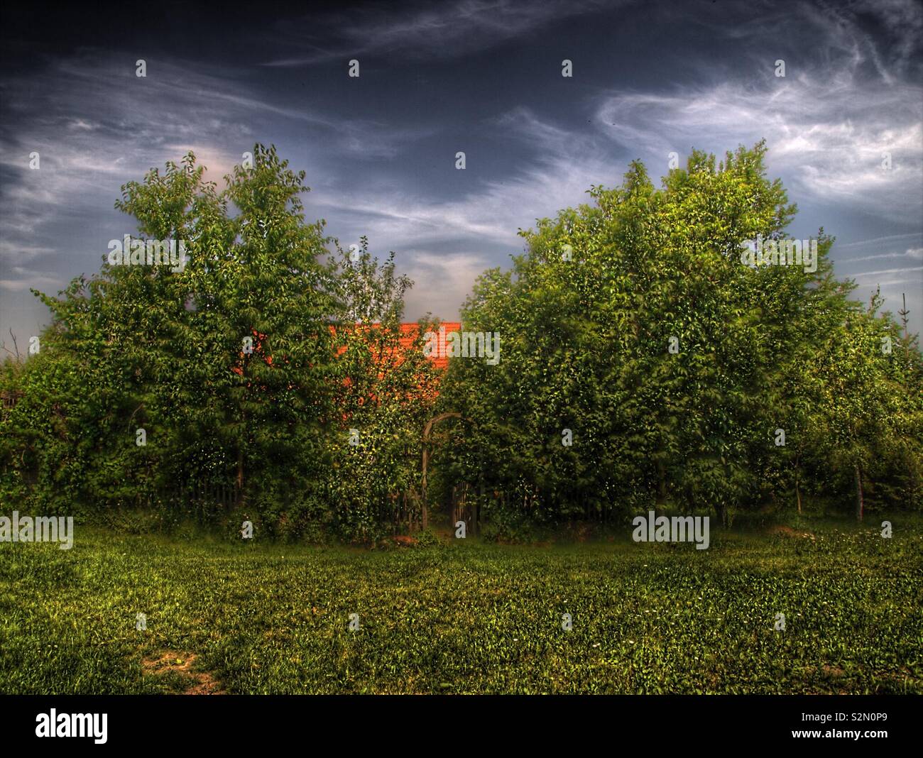 Haus hinter Bäumen, HDR Foto Stock