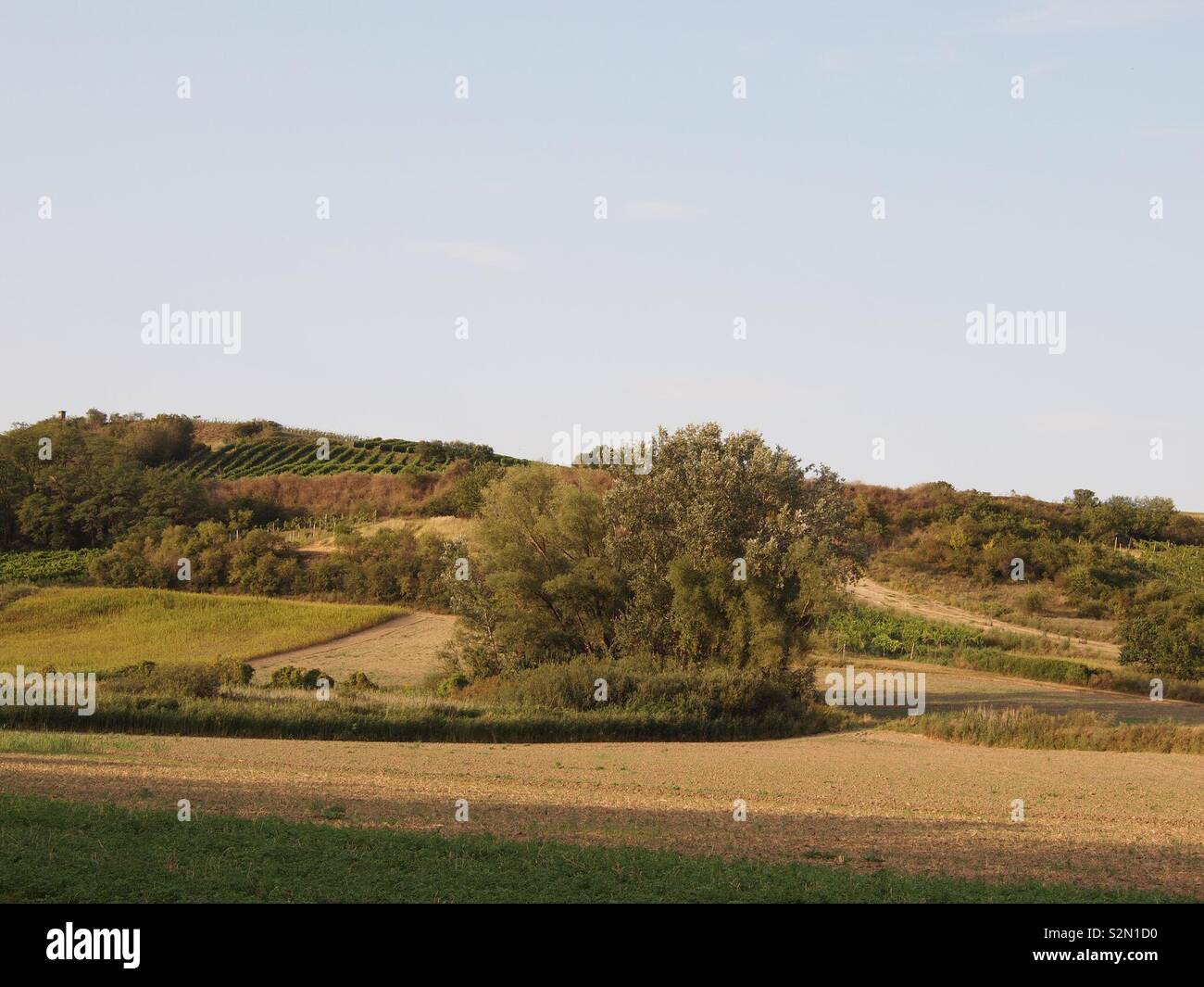 Landschaft im Weinviertel Foto Stock