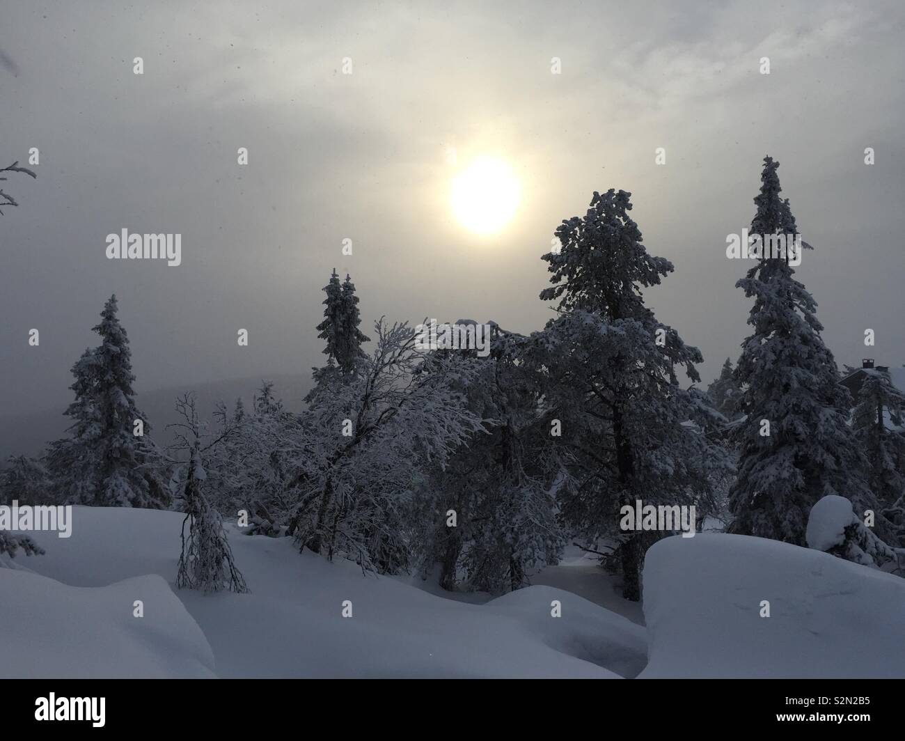 Il sole invernale della Finlandia Foto Stock