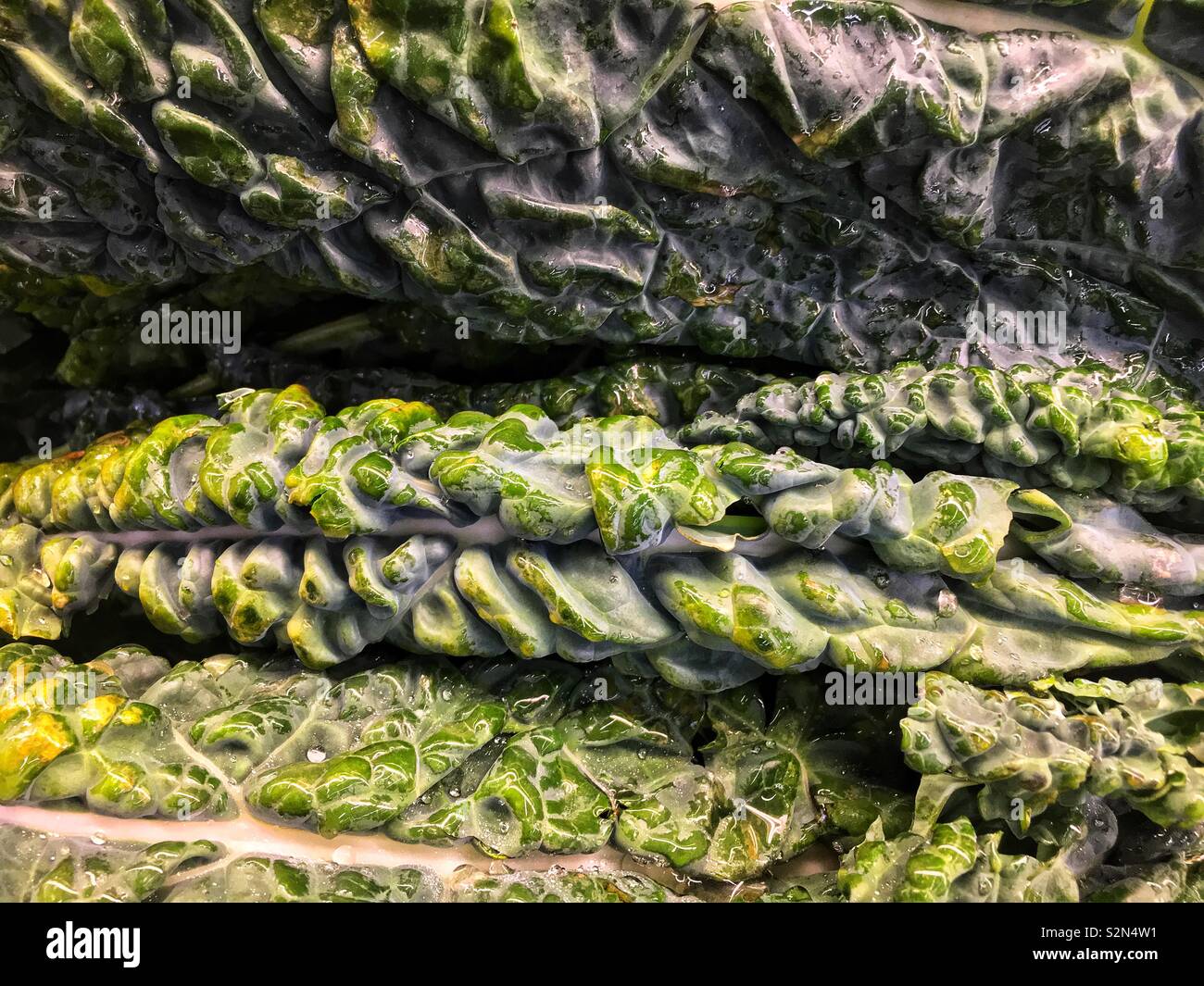 Telaio completo di fresco verde lacinato kale impilati presso la locale produzione di mercato. Foto Stock