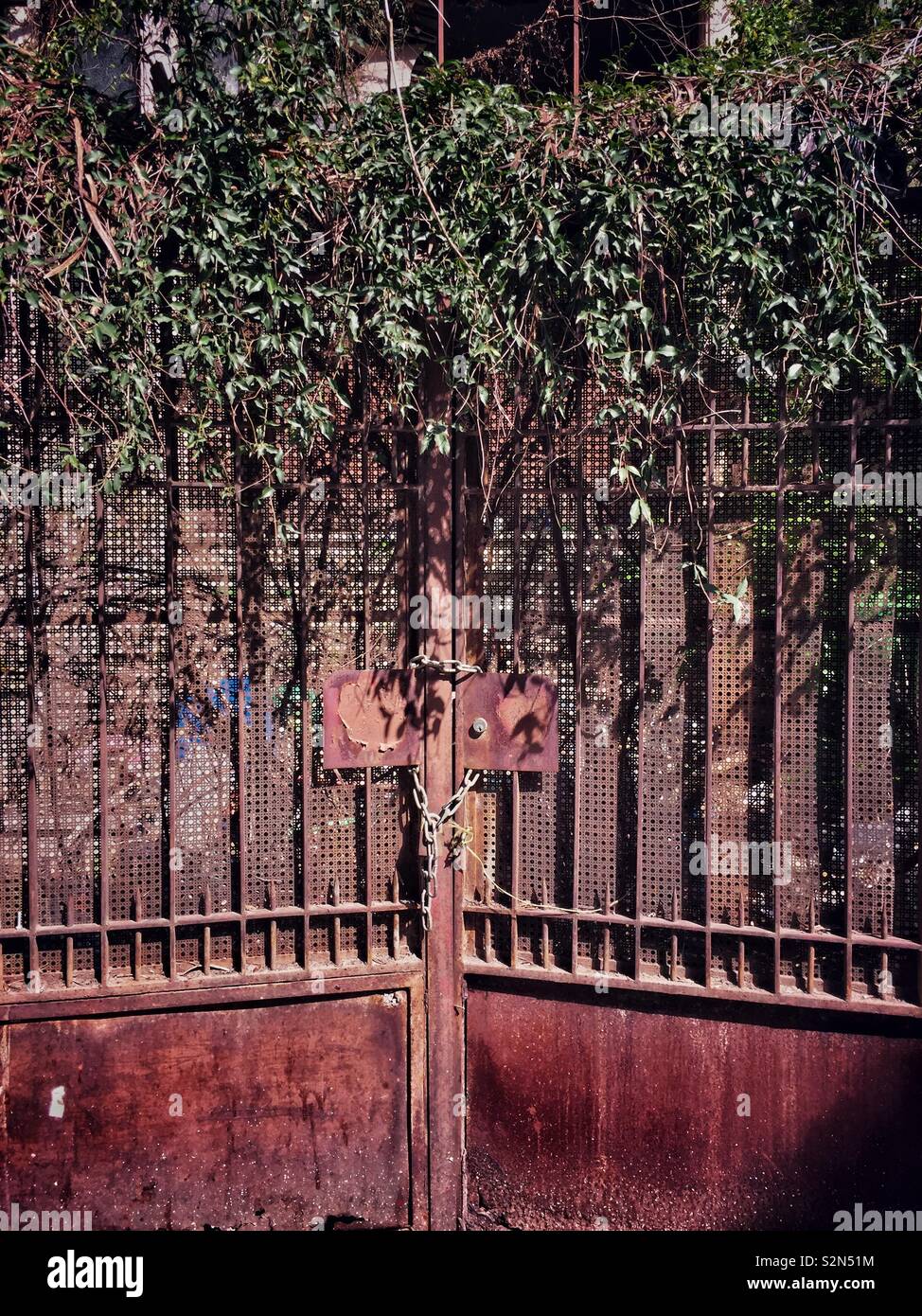 Piante ricoperta di copertura gate abbandonati Foto Stock