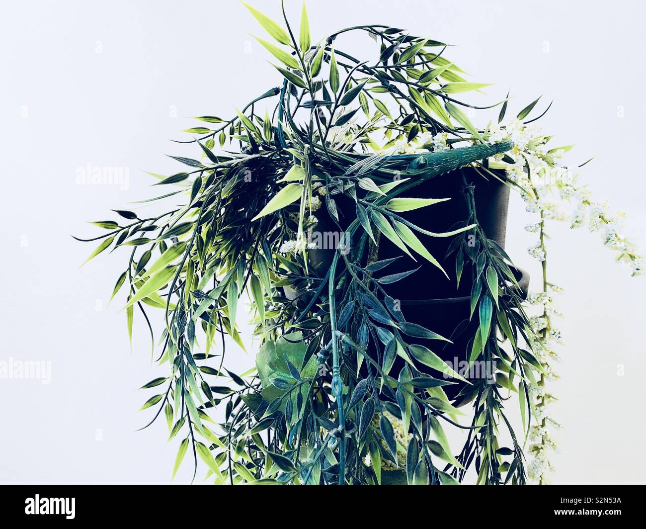 Impianto di falso Foto Stock