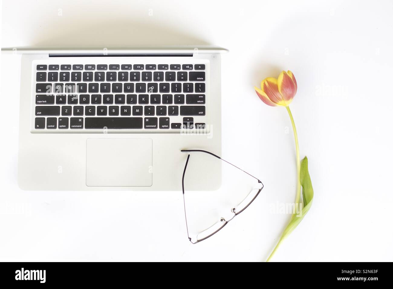 Intercettate vista di un computer in un banco di bianco con gli occhiali e un tulipano fiore Foto Stock
