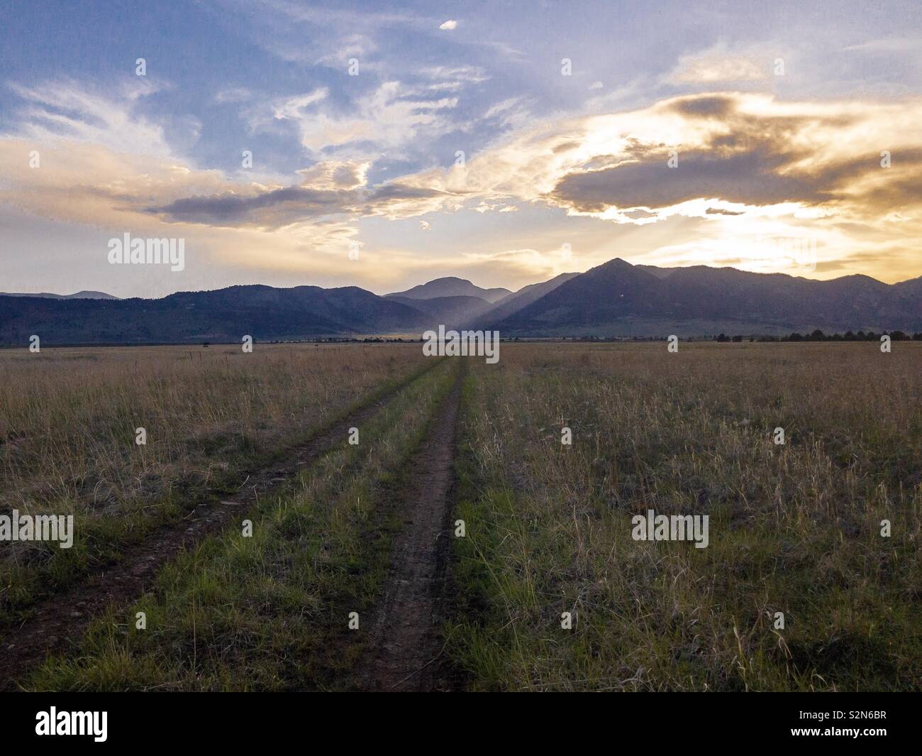 Sunset bike trail in Rocky Flats preservare la fauna selvatica. - Immagine stock catturata con smartphone