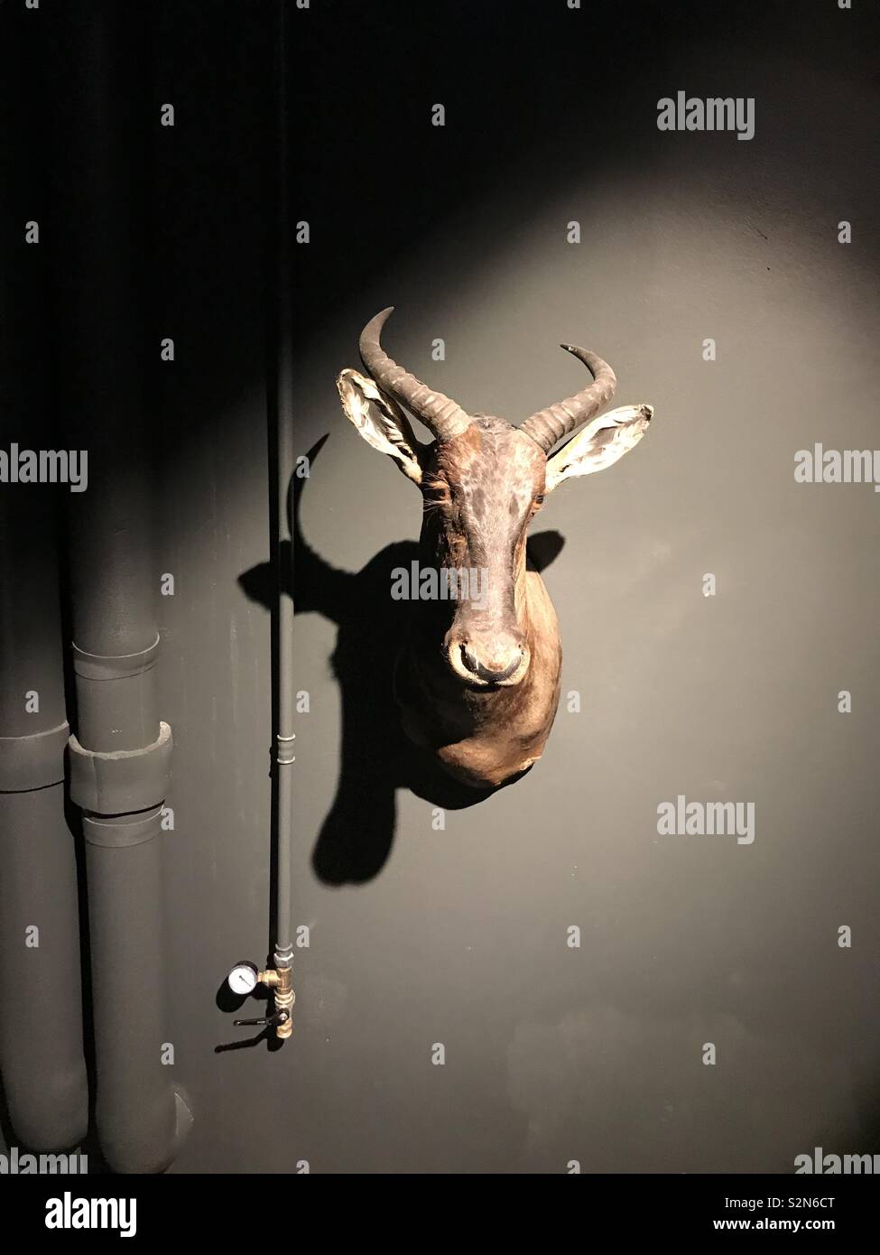 L'arte al muro in Copenhagen -Manson les suites Guldsmeden Foto Stock