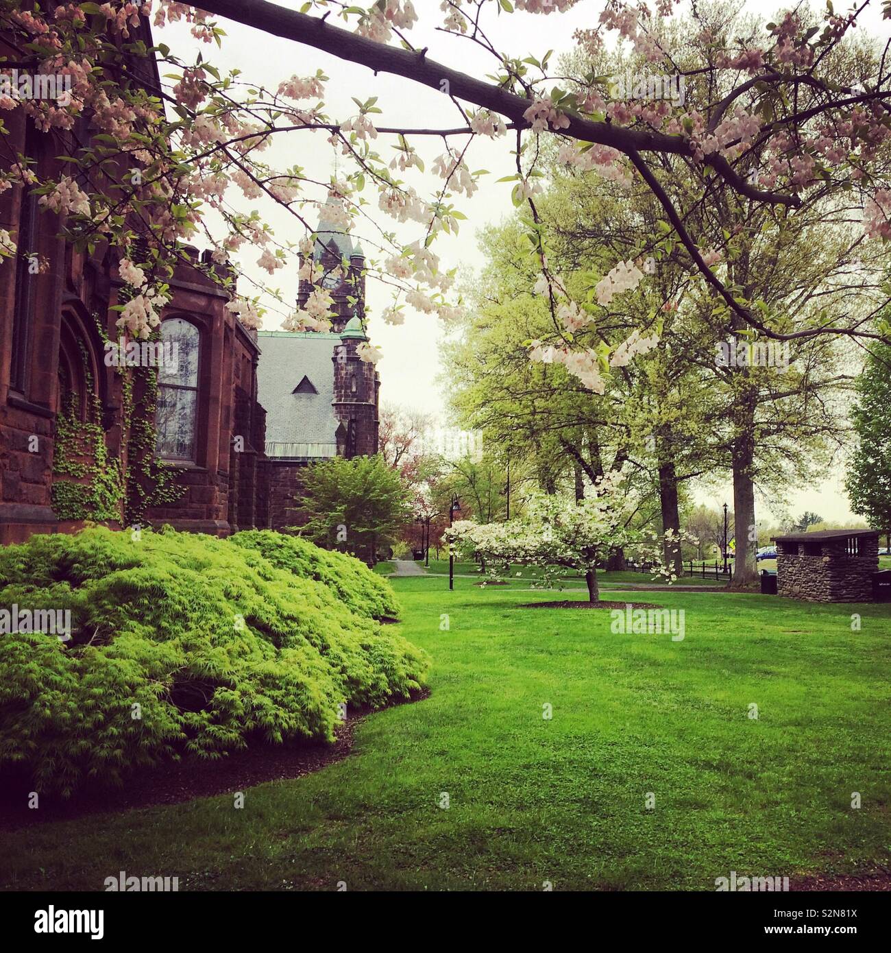 Una primavera vista di Mount Holyoke College, South Hadley, Massachusetts, Stati Uniti Foto Stock