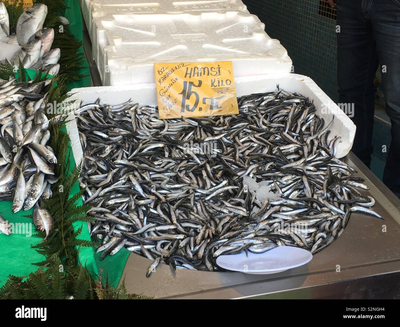 Mercato del pesce in maltepe, Istanbul, Turchia, vendita hamsi - acciughe. Foto Stock