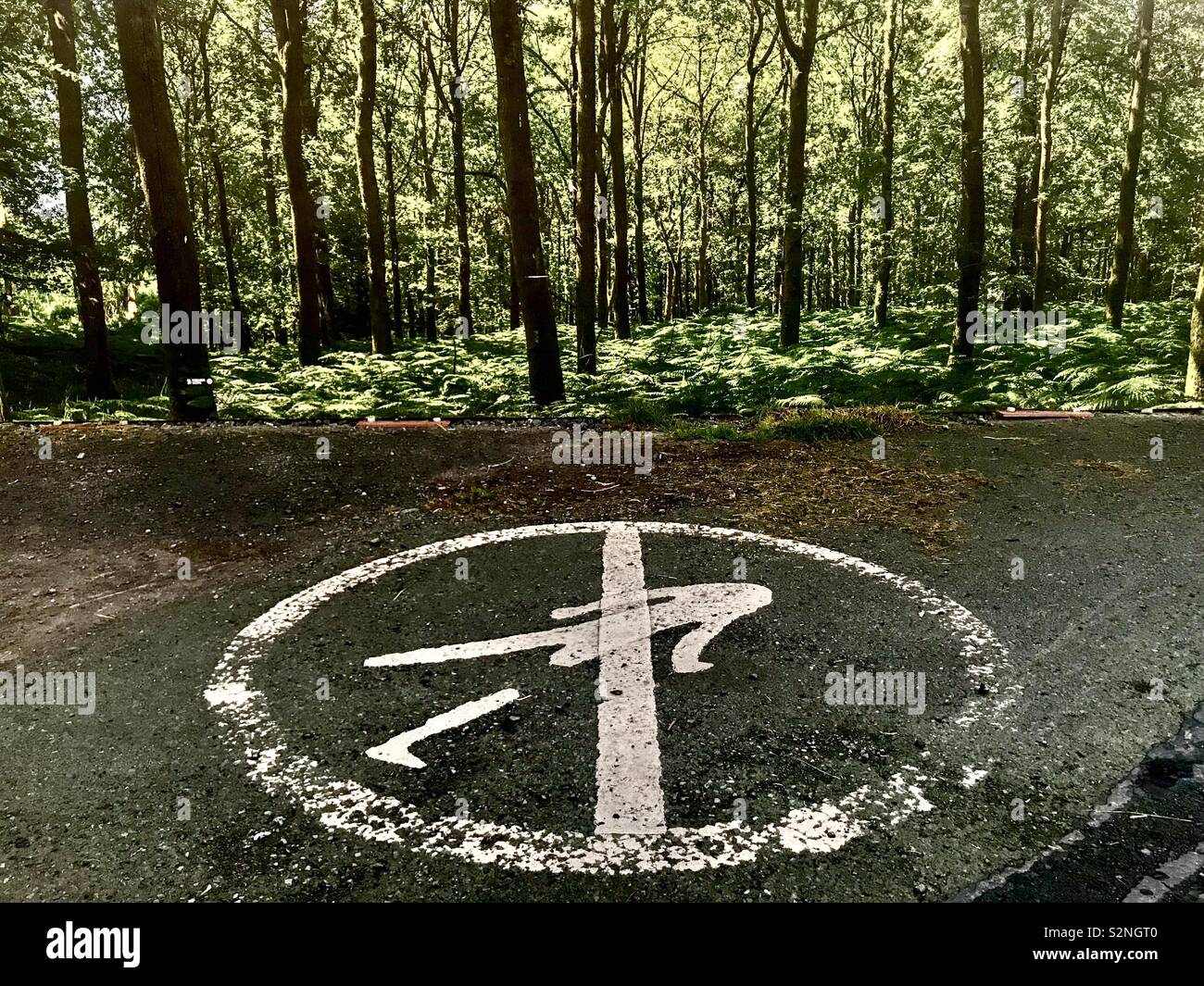 'N' a piedi segno sulla pista ciclabile con palizzata in background stampato con foto della foresta. - Immagine stock catturata con smartphone